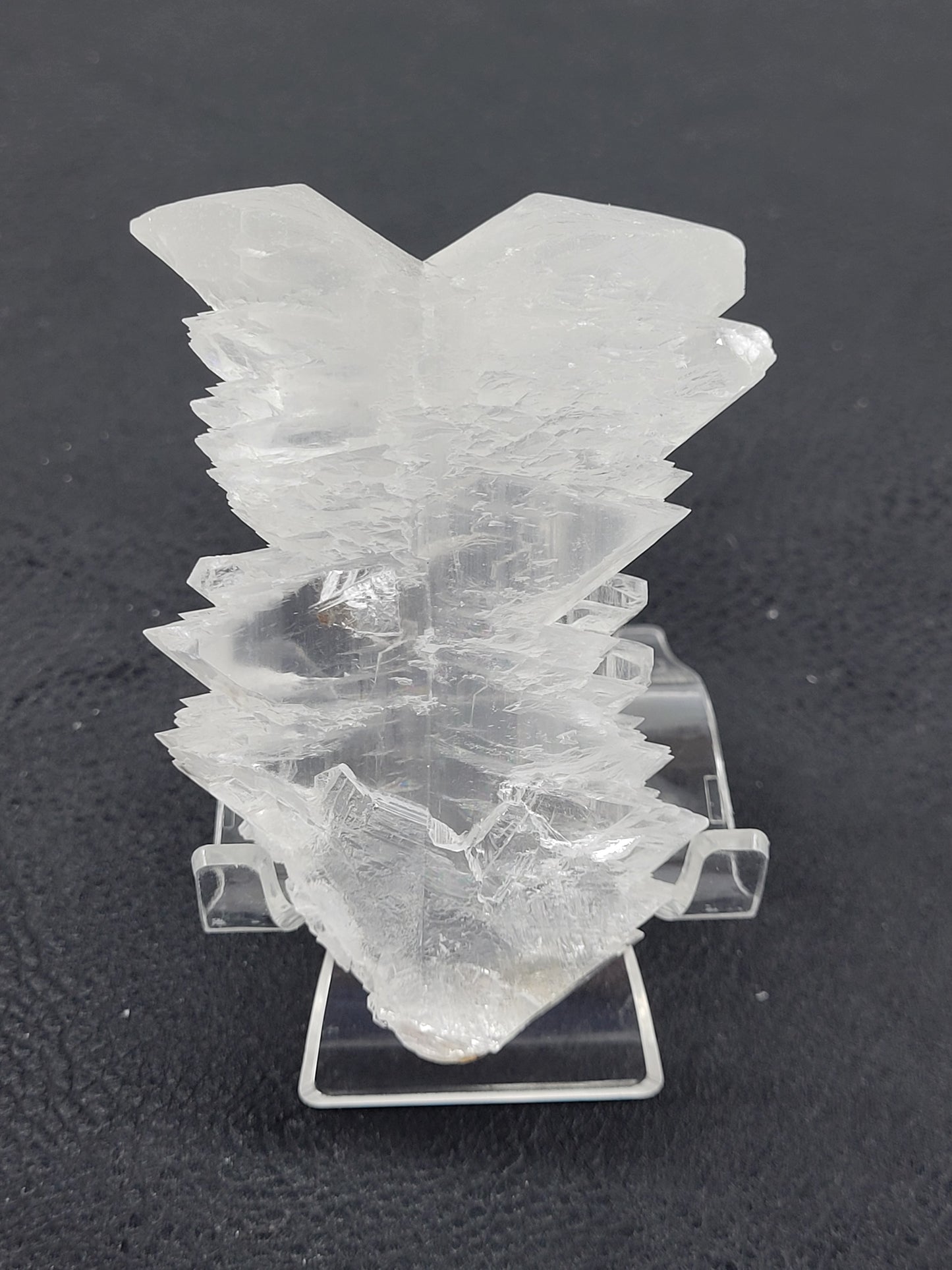 Angel Wing Selenite