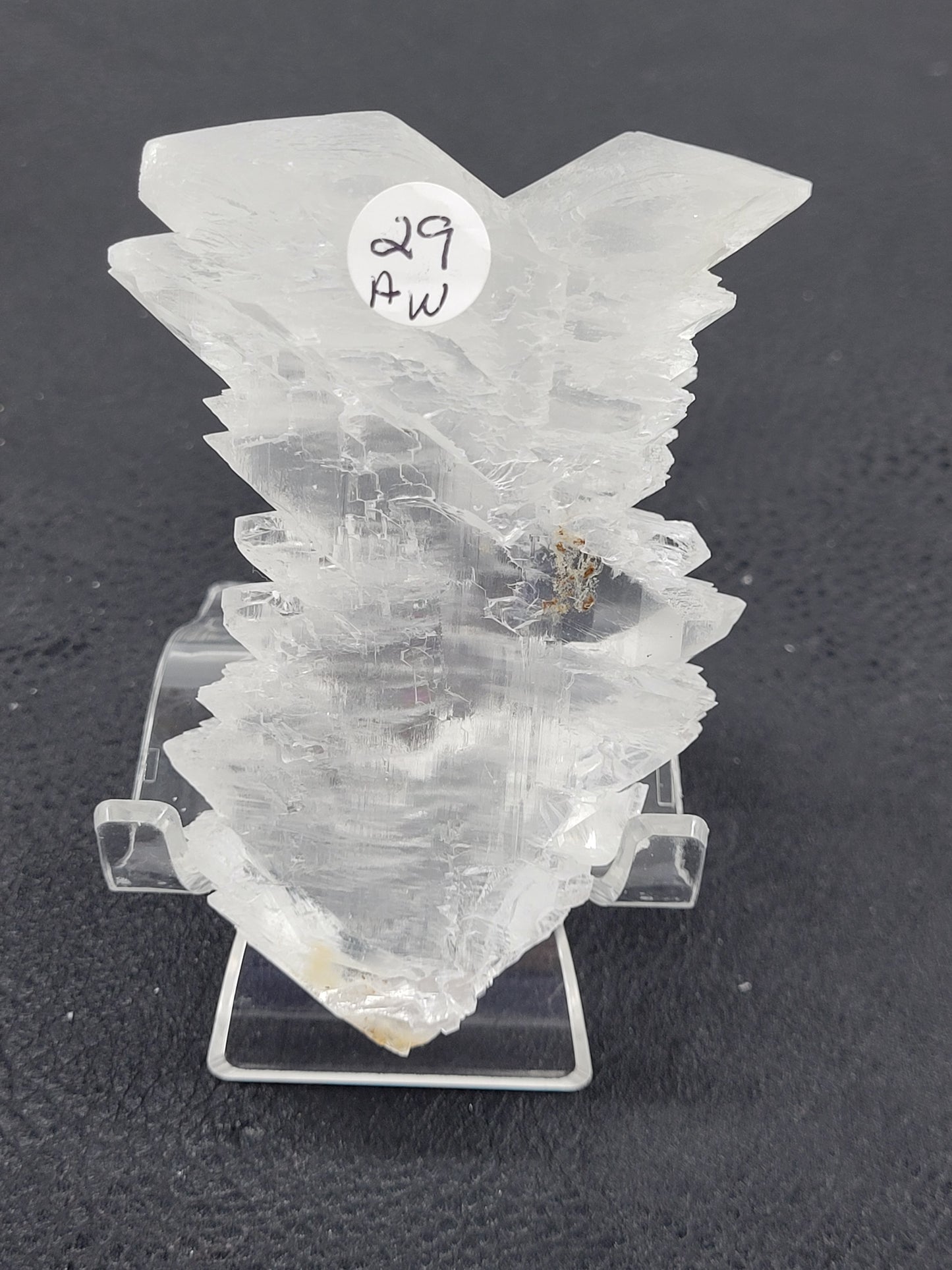 Angel Wing Selenite