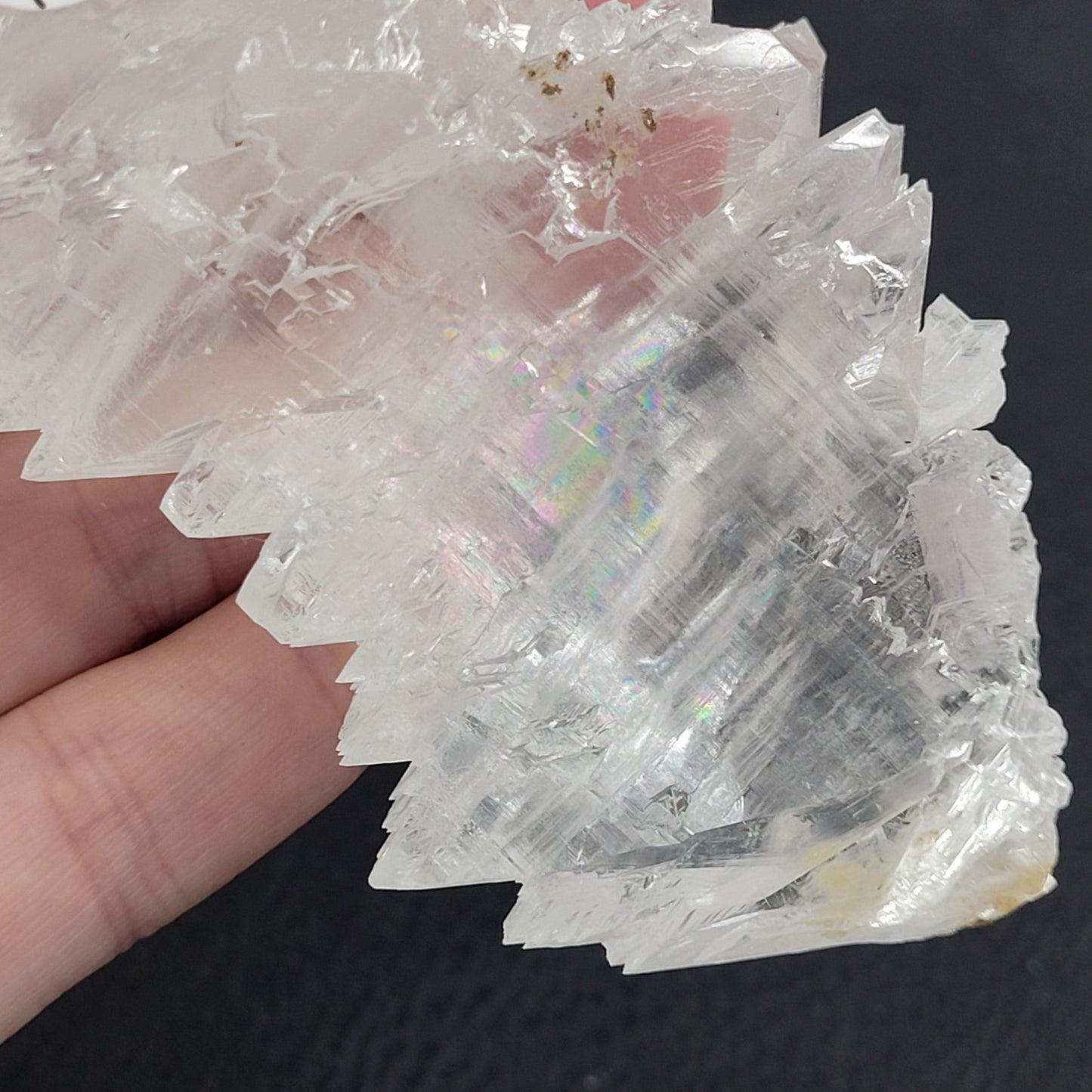 Angel Wing Selenite