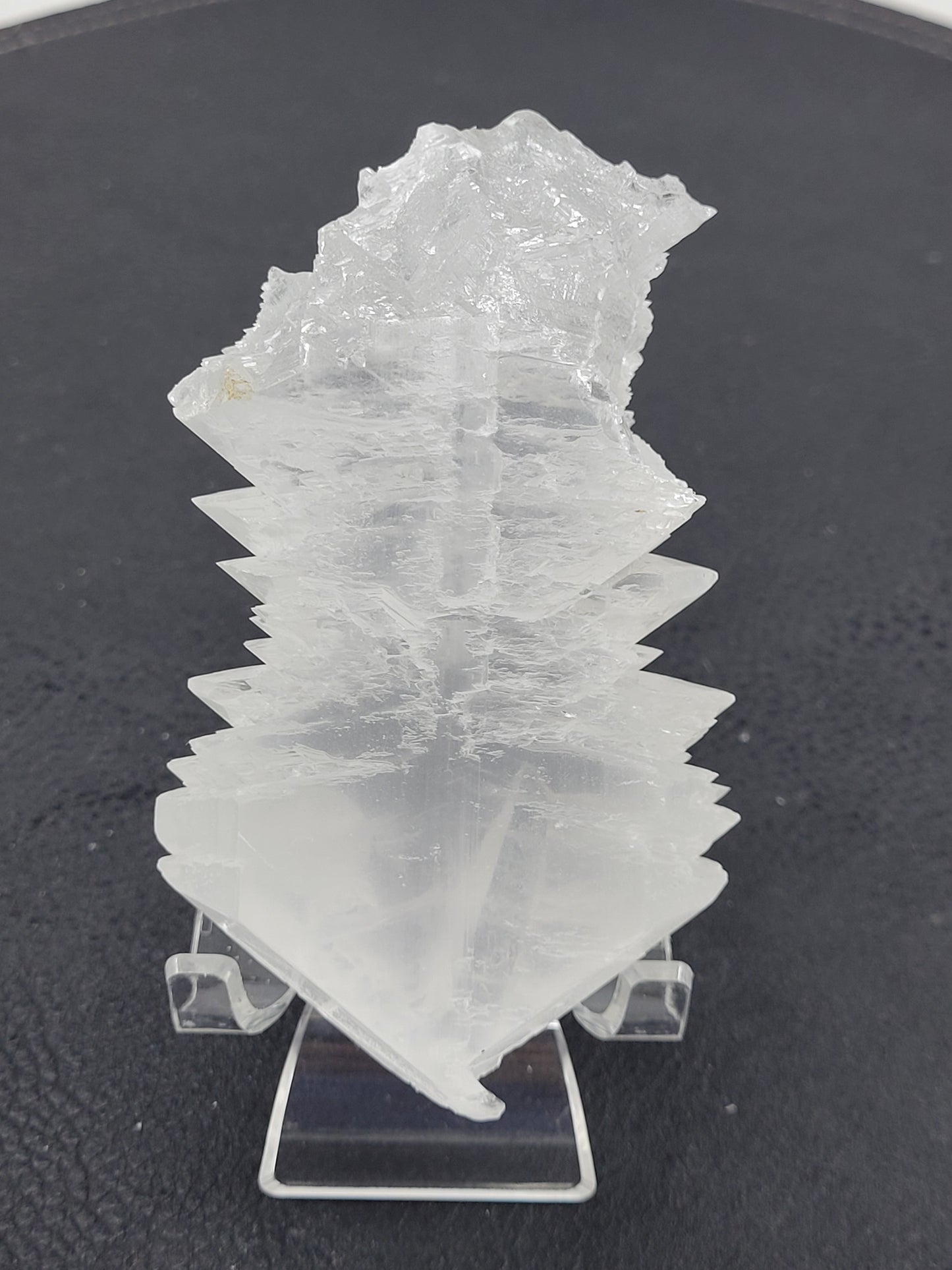 Angel Wing Selenite