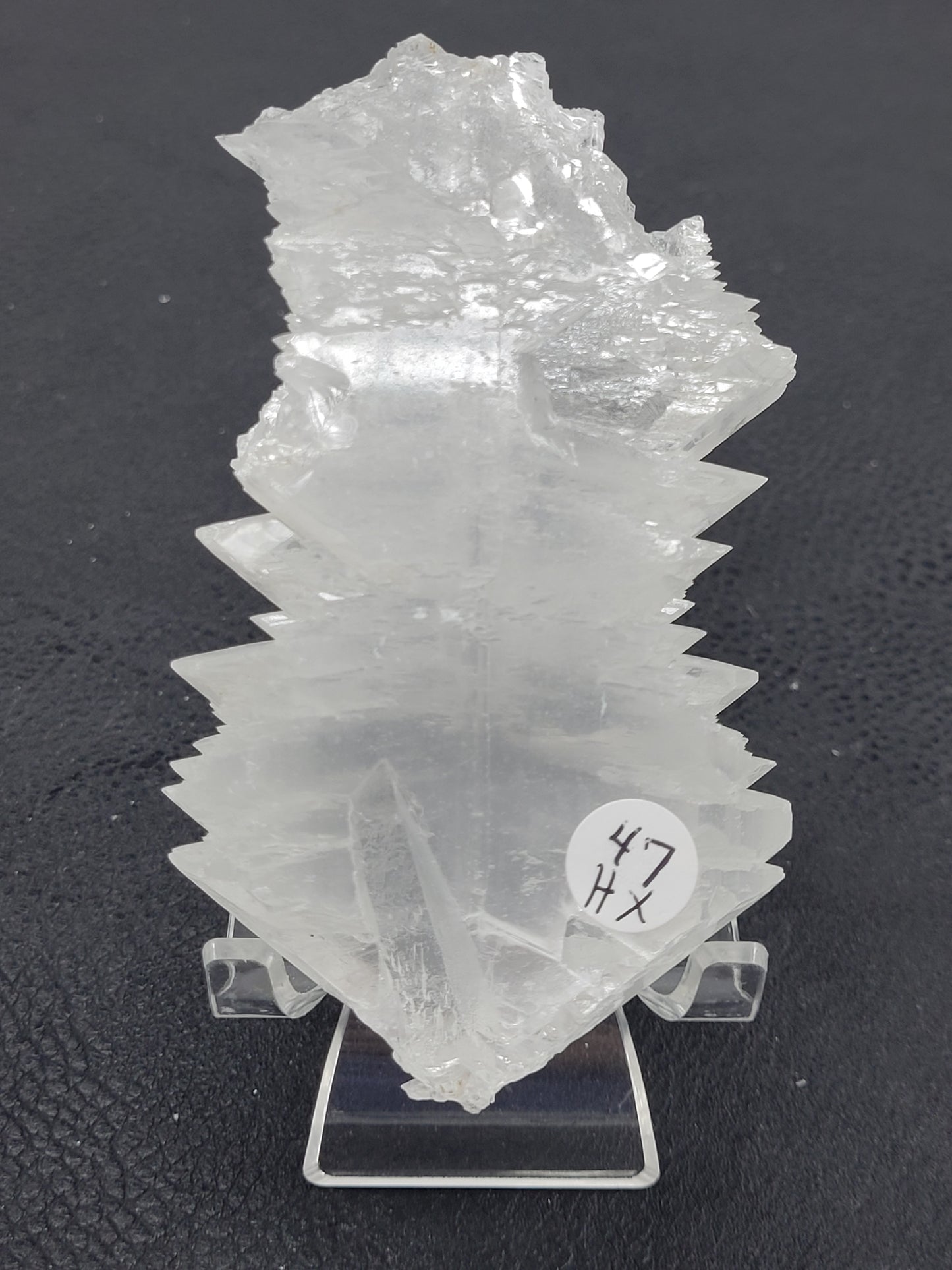 Angel Wing Selenite