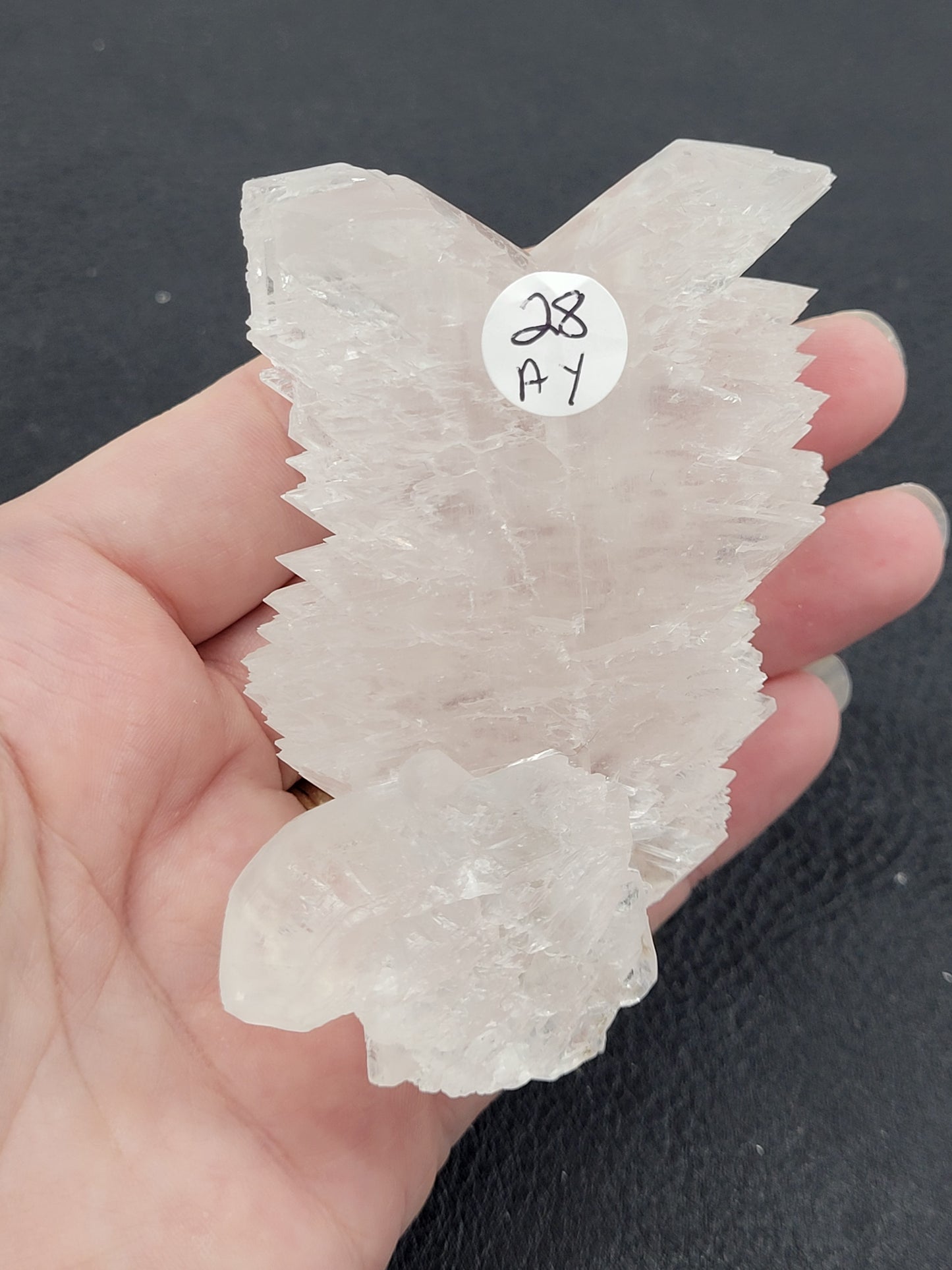 Angel Wing Selenite