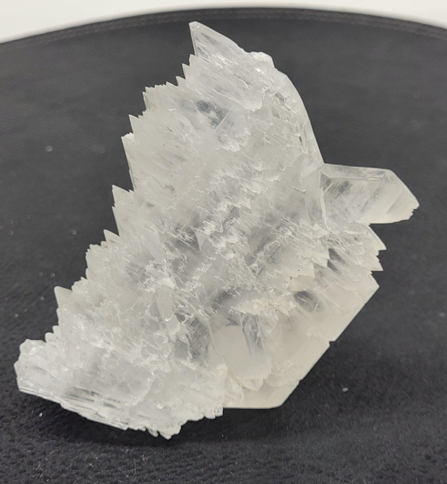 Angel Wing Selenite
