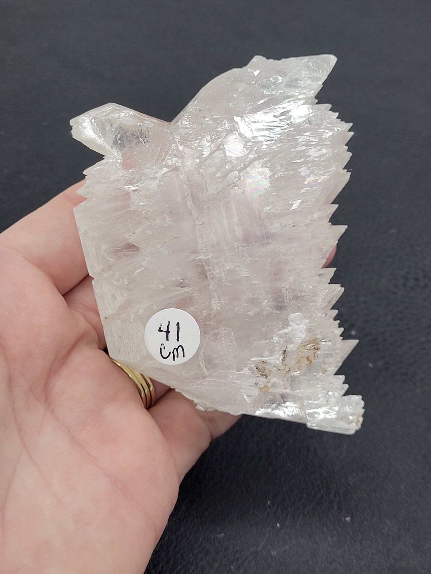 Angel Wing Selenite
