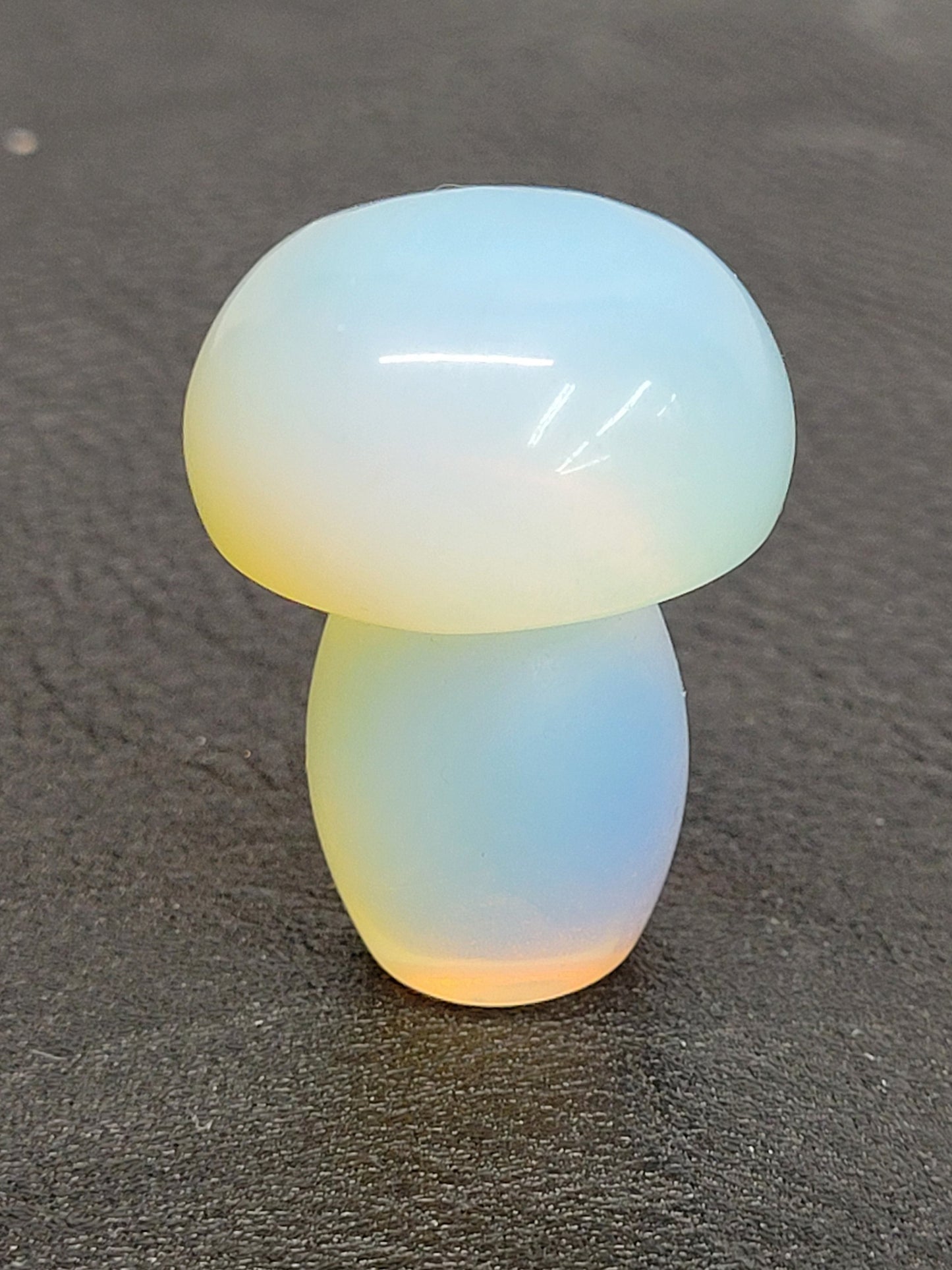 Mushroom (small/medium)