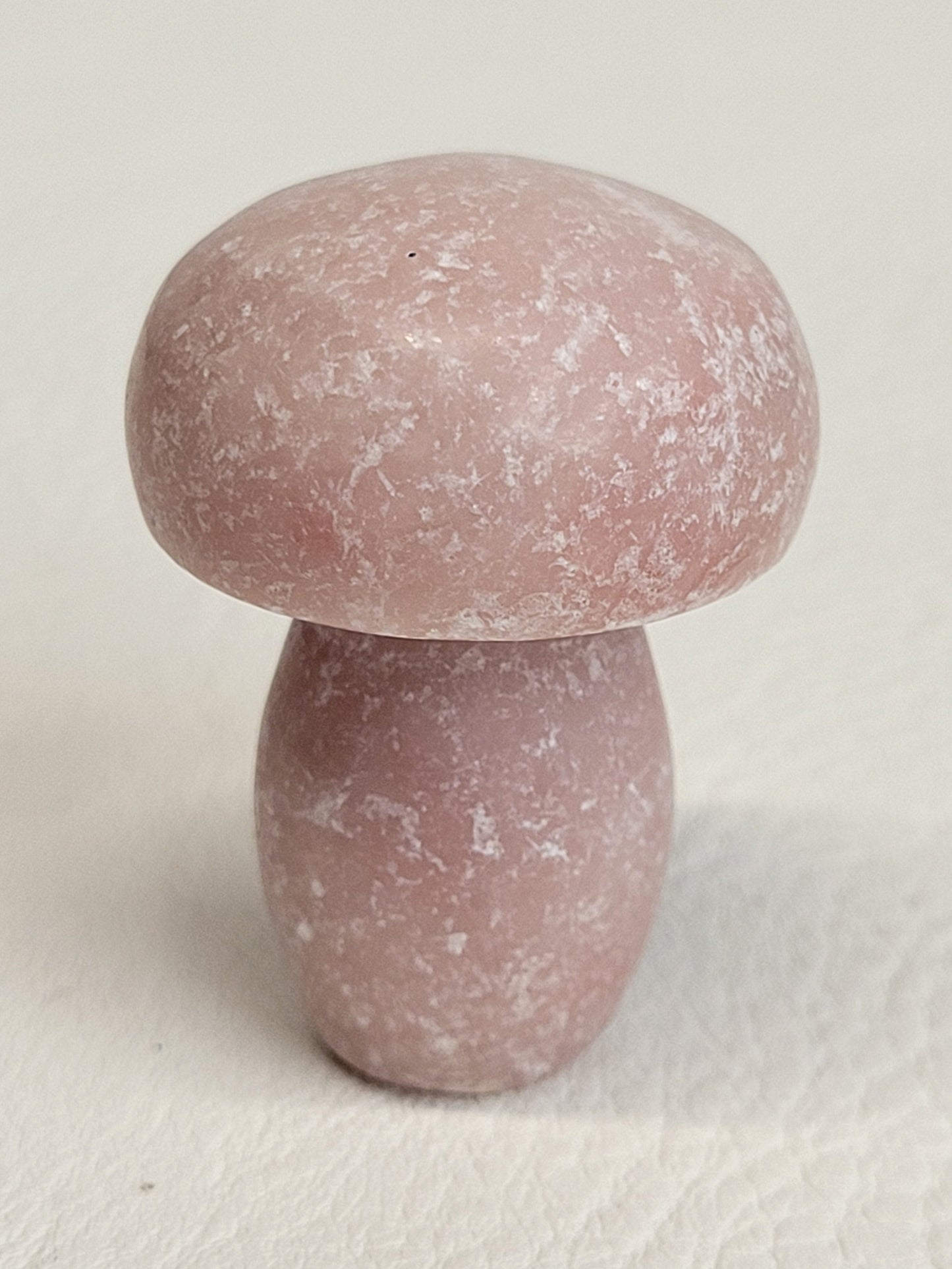 Mushroom (small/medium)