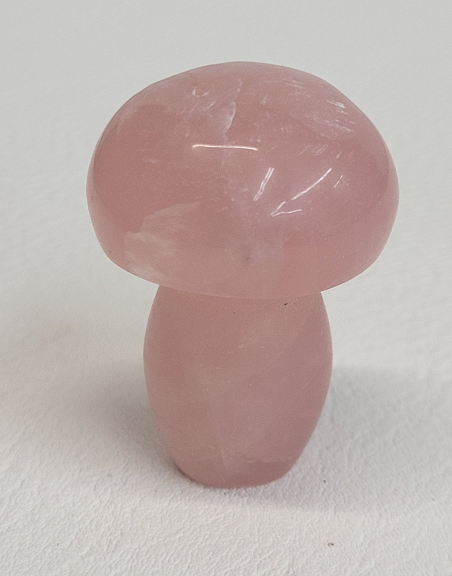 Mushroom (small/medium)