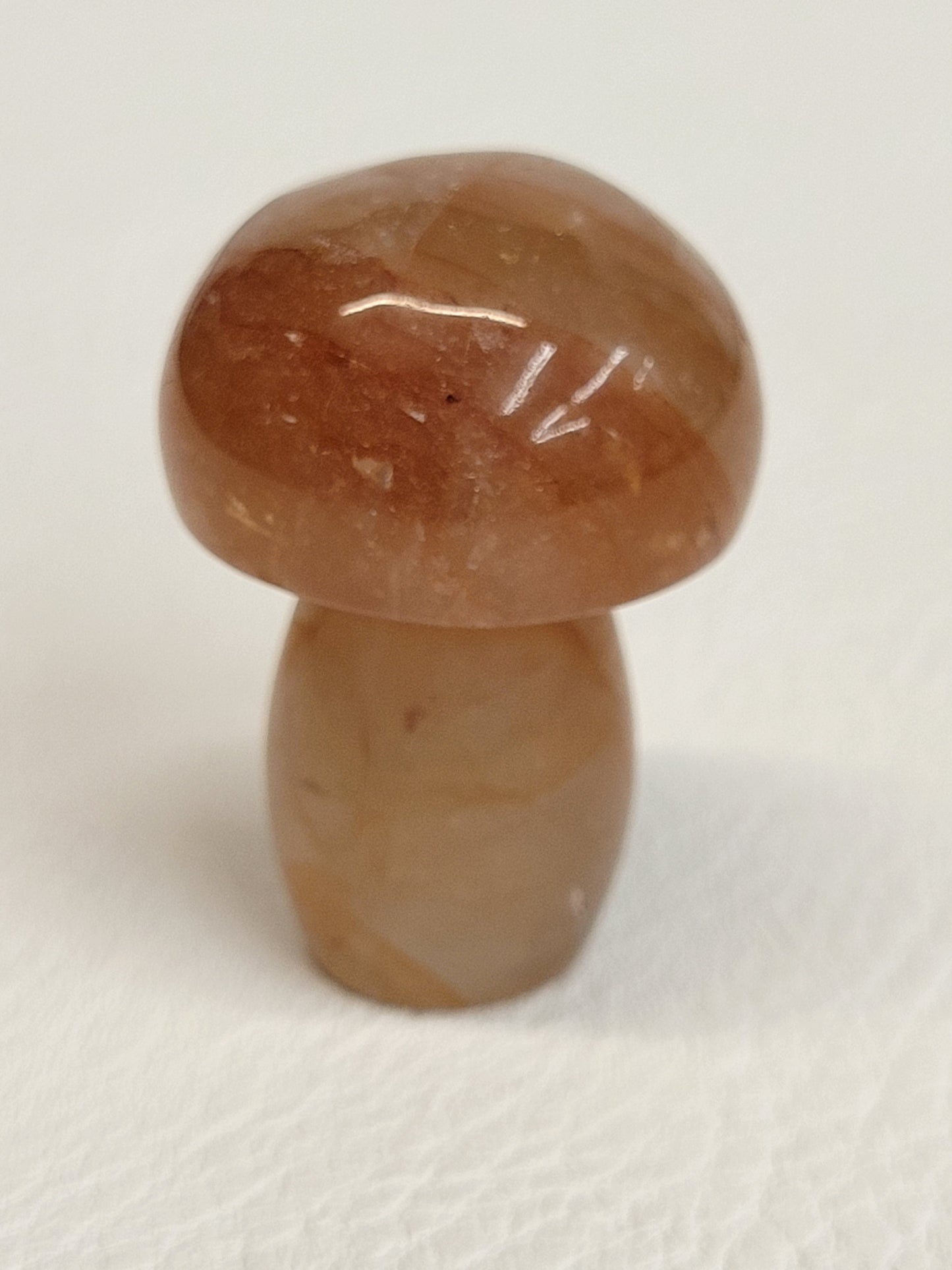Mushroom (small/medium)