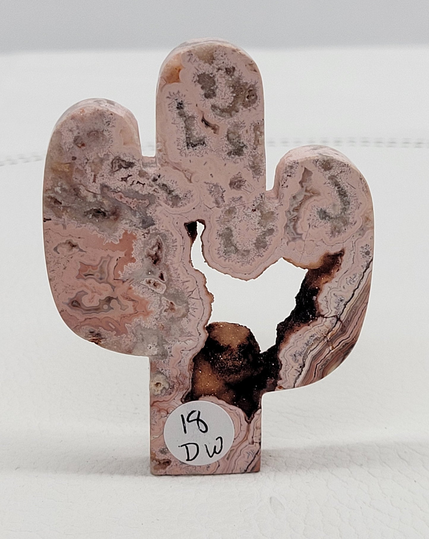 Cactus - Pink Crazy Lace Agate