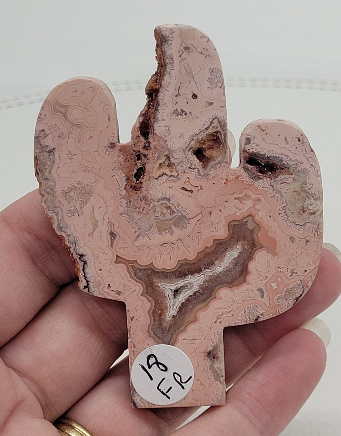 Cactus - Pink Crazy Lace Agate