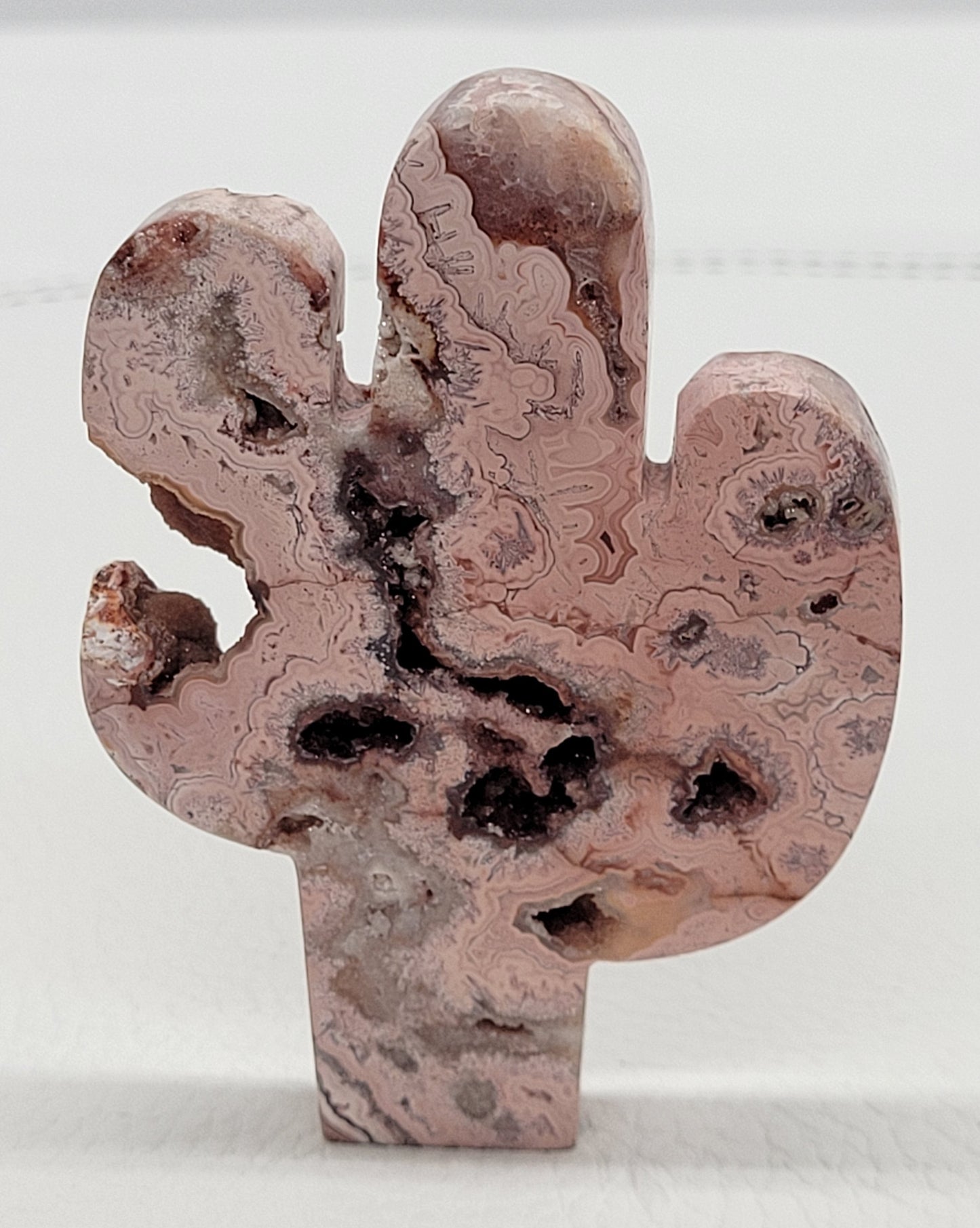 Cactus - Pink Crazy Lace Agate