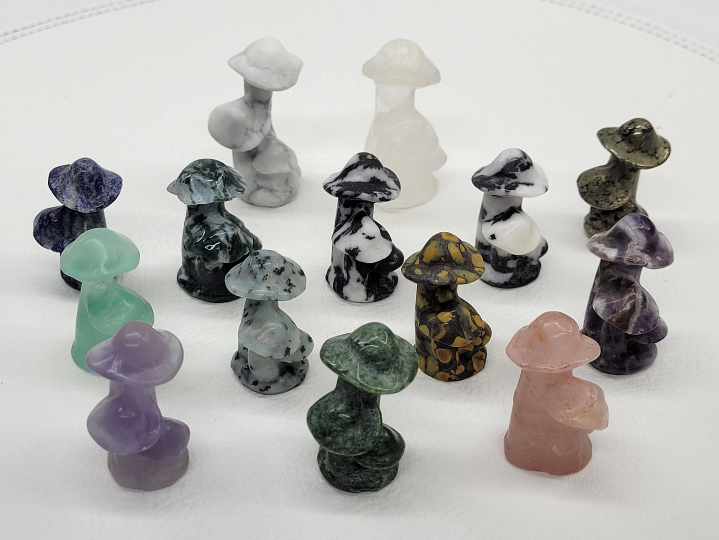 Mushroom cluster/family