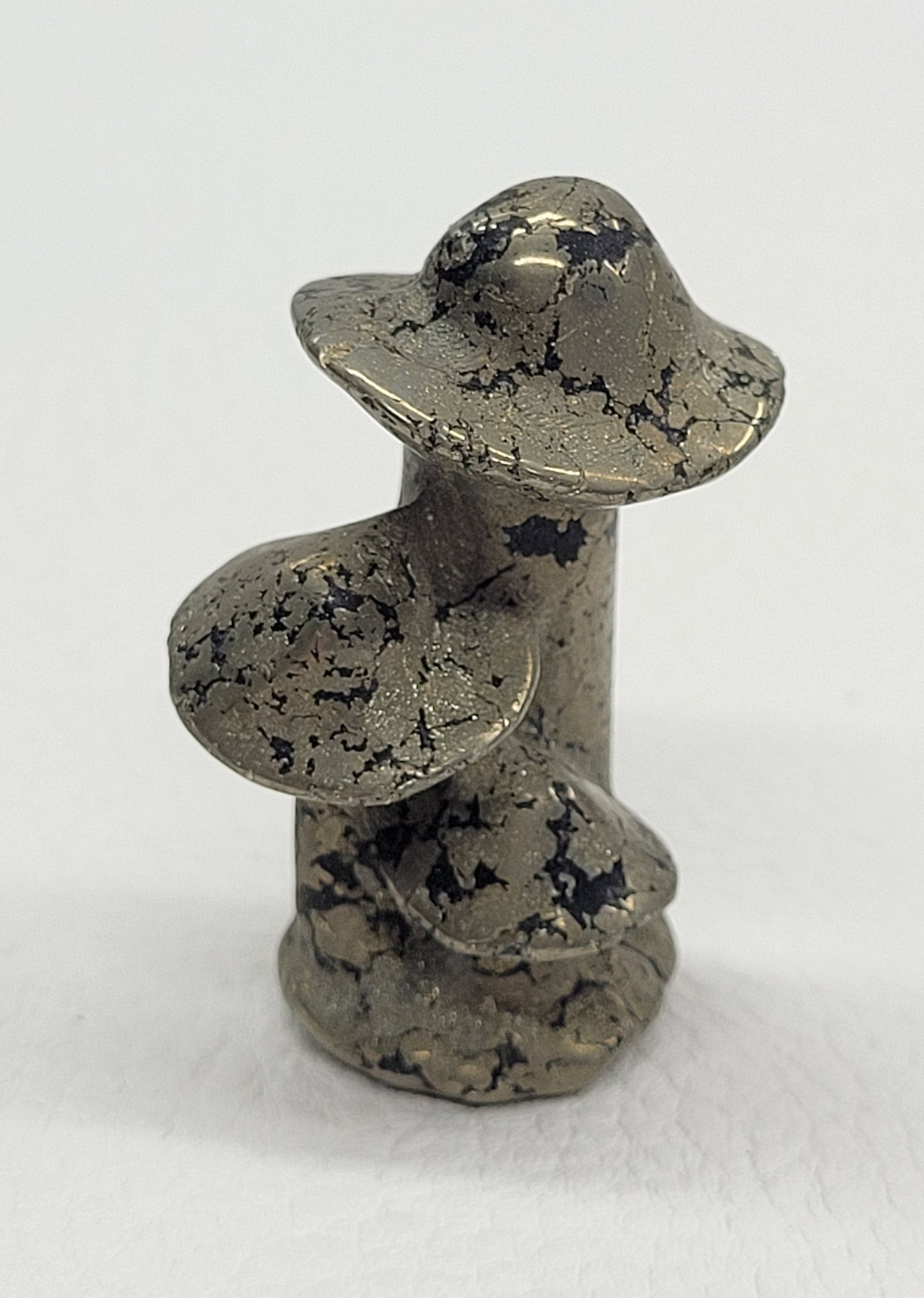 Mushroom cluster/family