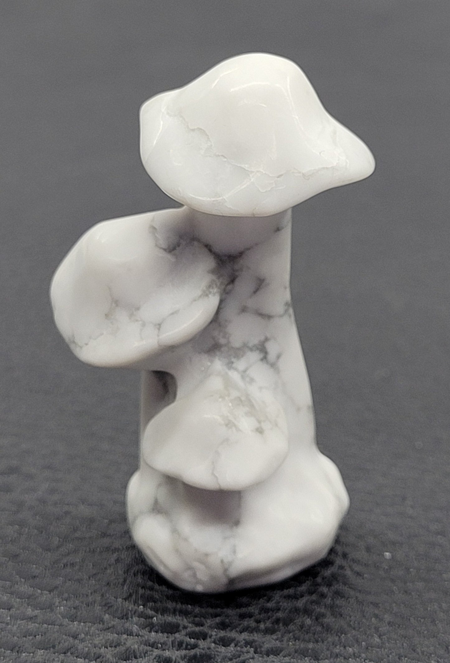Mushroom cluster/family