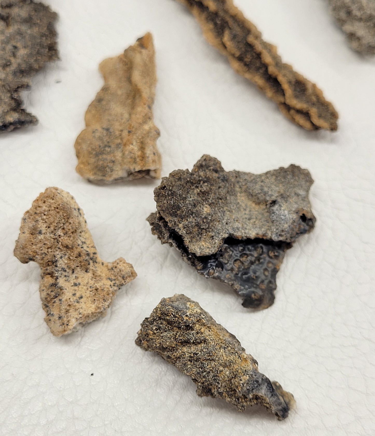 Fulgarite (aka Fossilized Lightning)