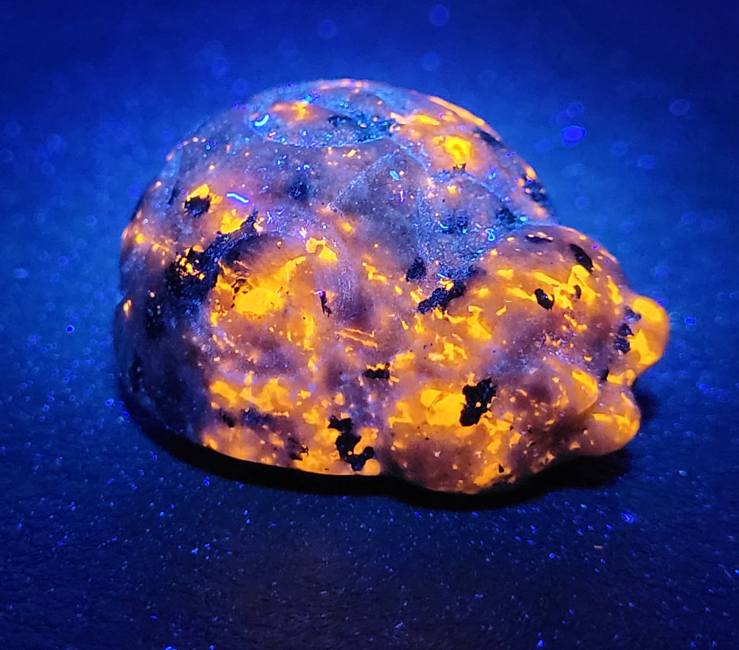 Ladybug carving (medium)