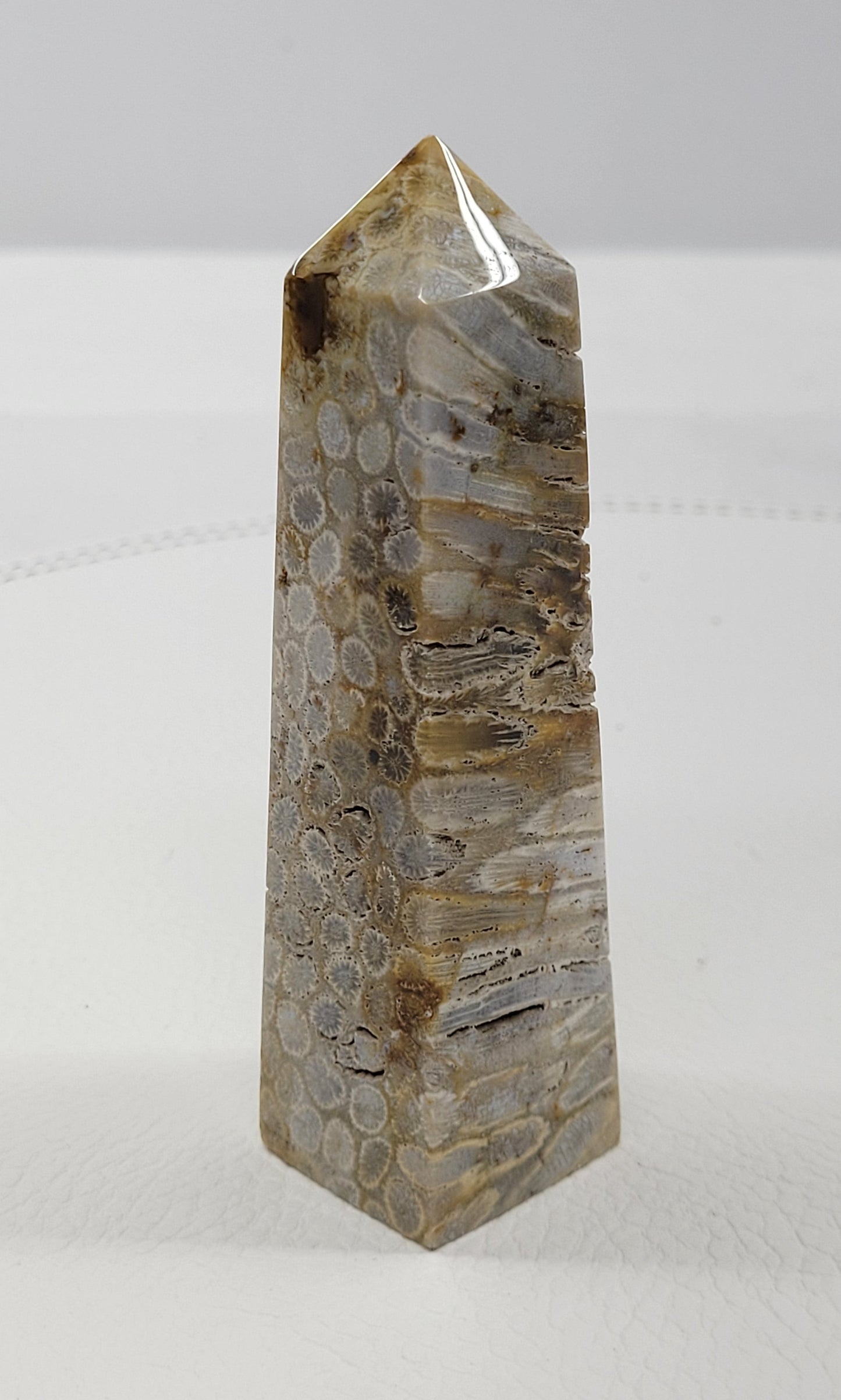 Fossil Coral Jasper tower
