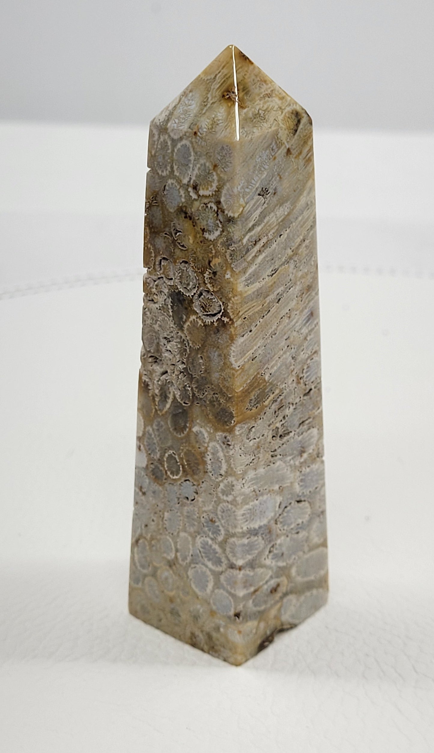 Fossil Coral Jasper tower