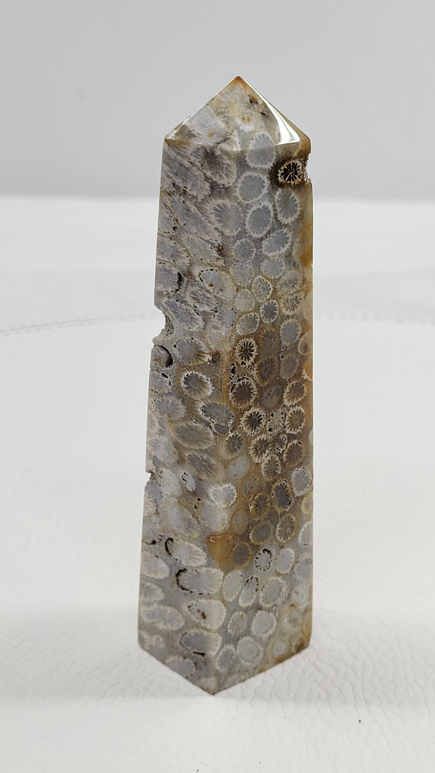 Fossil Coral Jasper tower