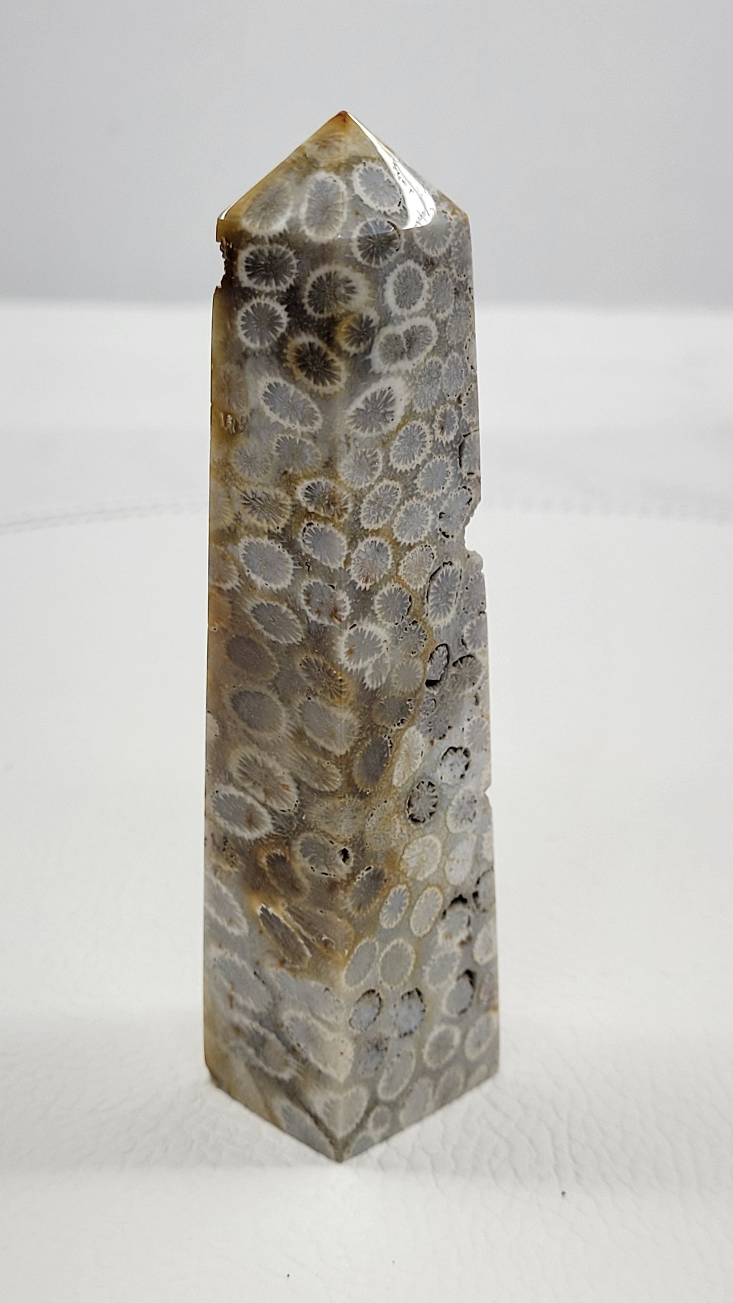 Fossil Coral Jasper tower