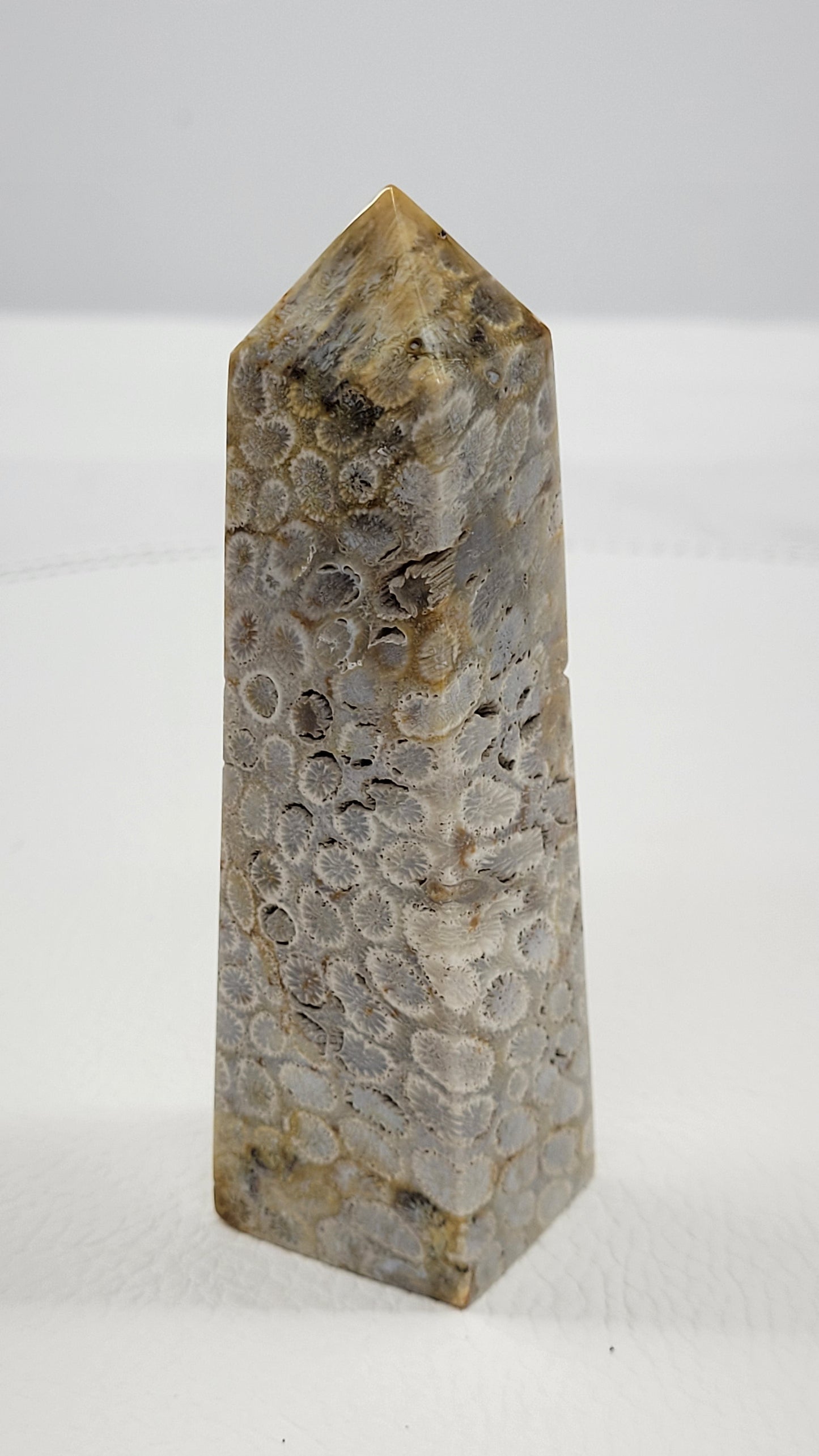 Fossil Coral Jasper tower
