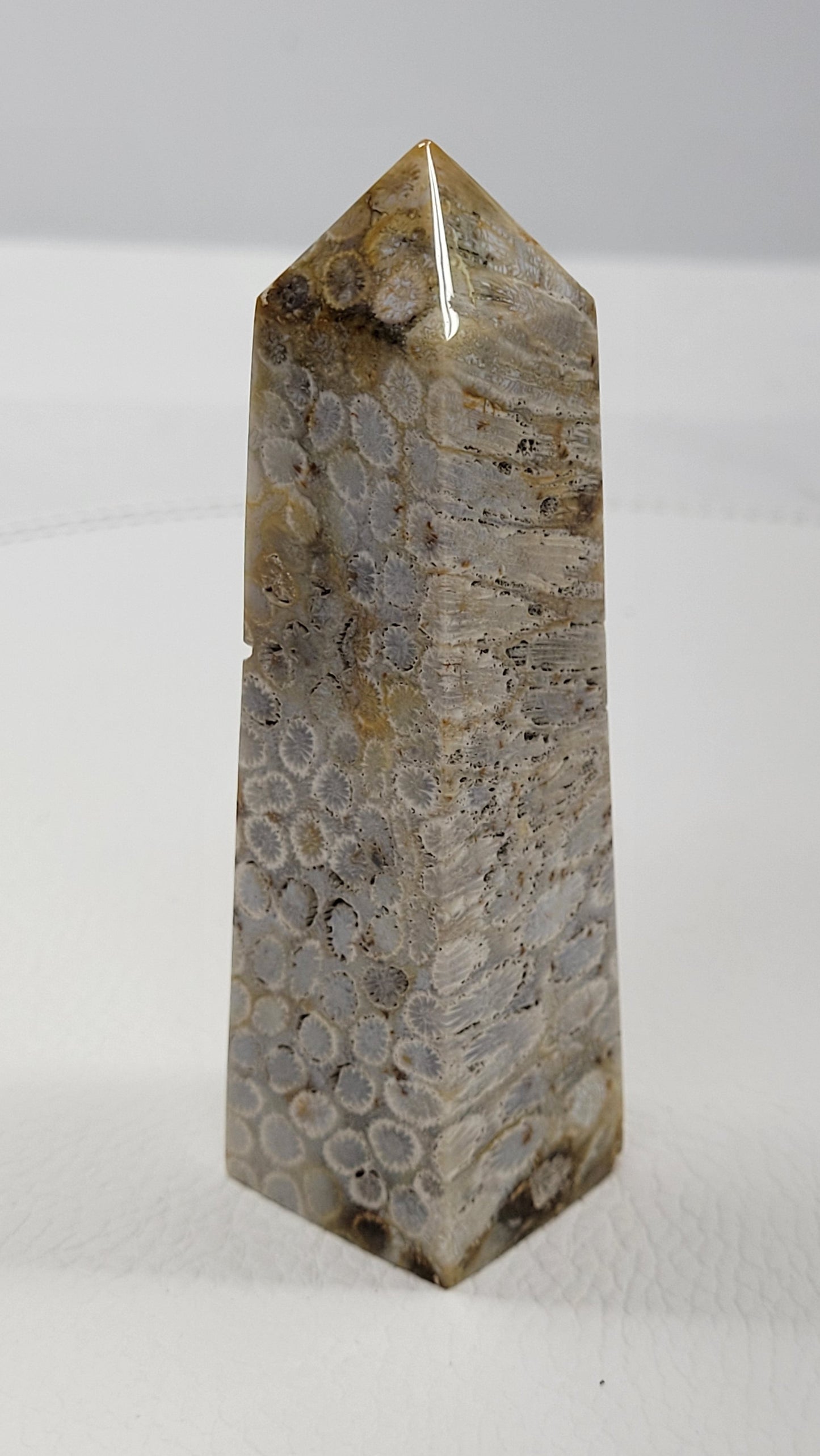 Fossil Coral Jasper tower