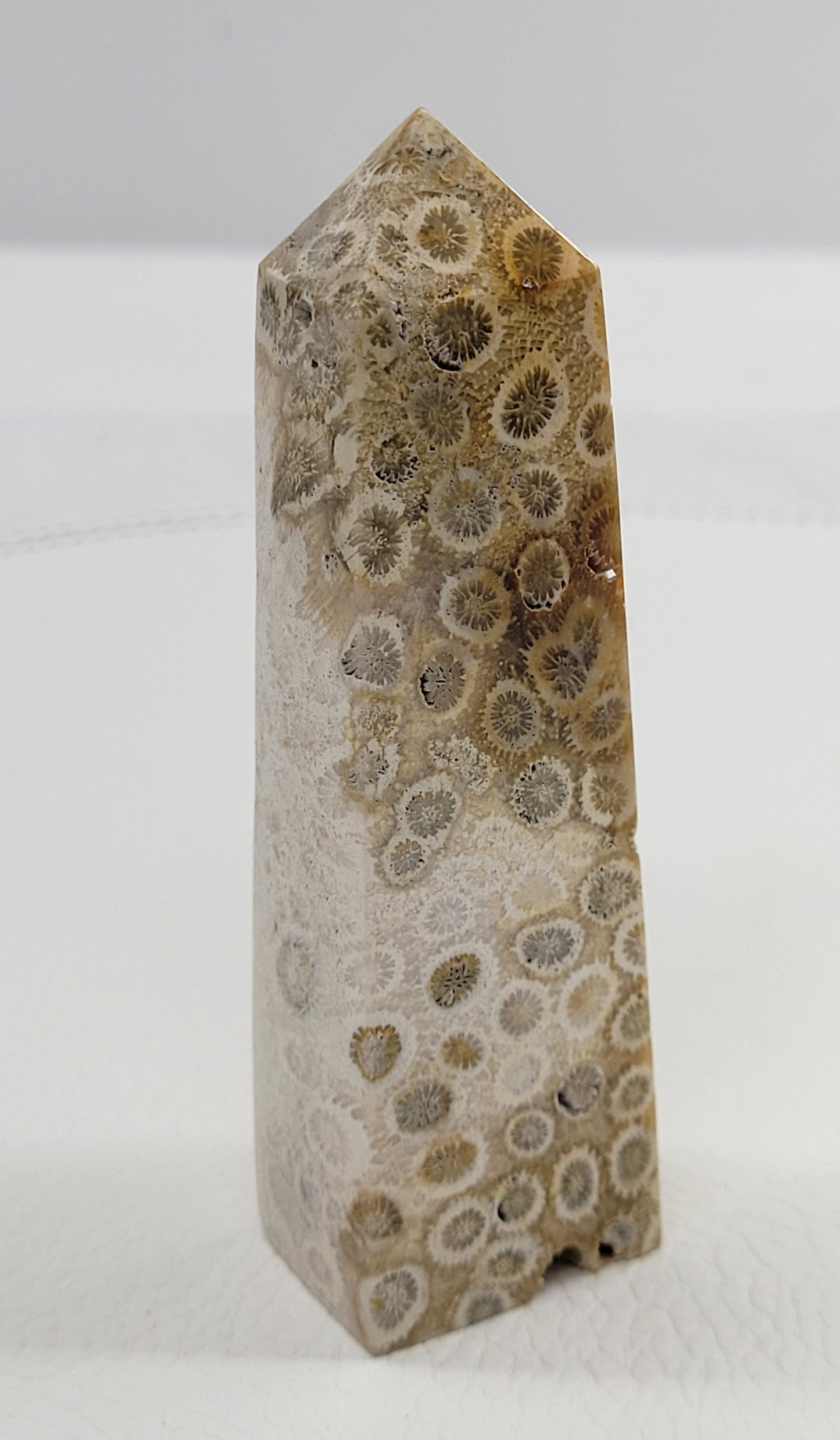 Fossil Coral Jasper tower