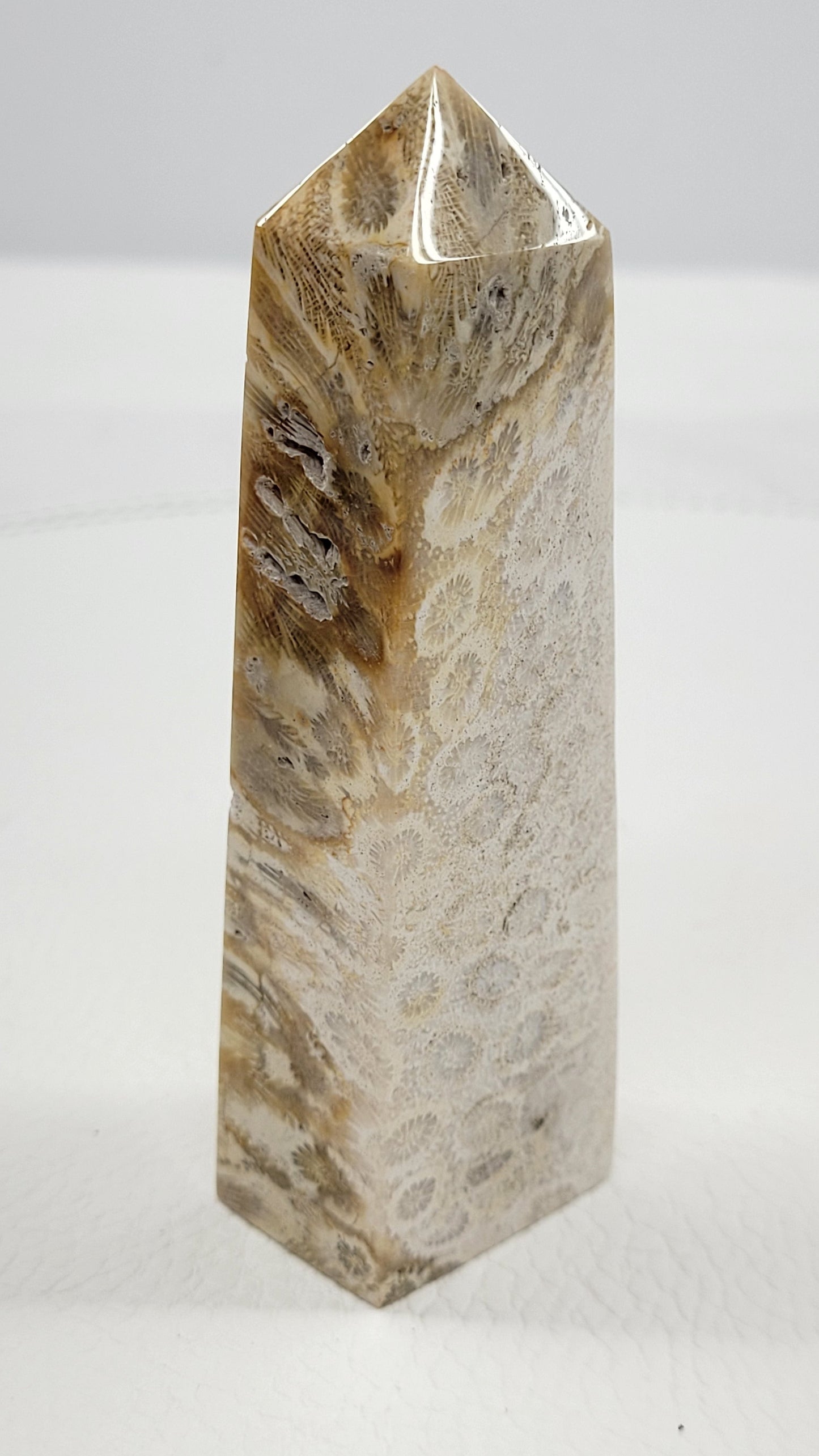 Fossil Coral Jasper tower