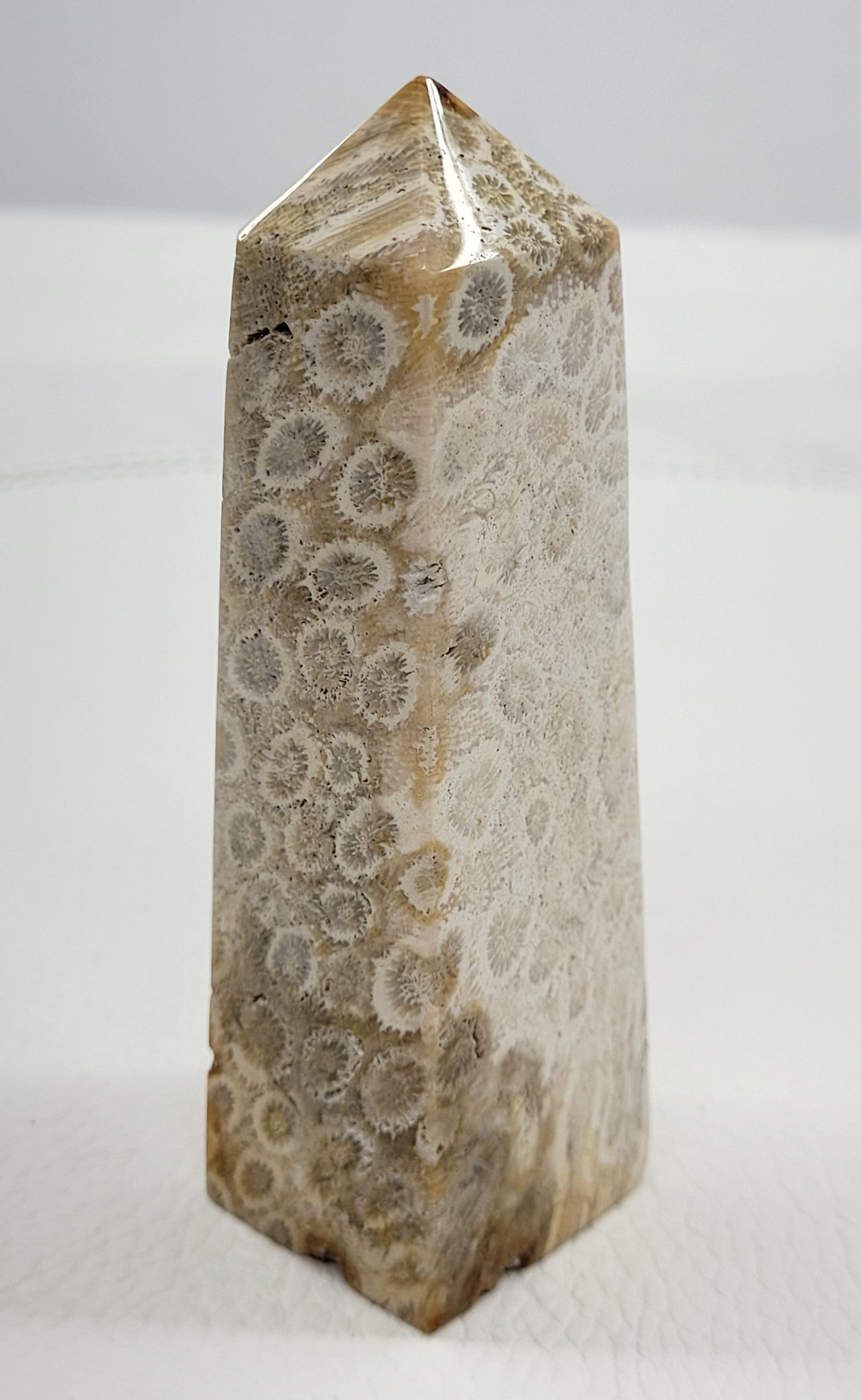 Fossil Coral Jasper tower