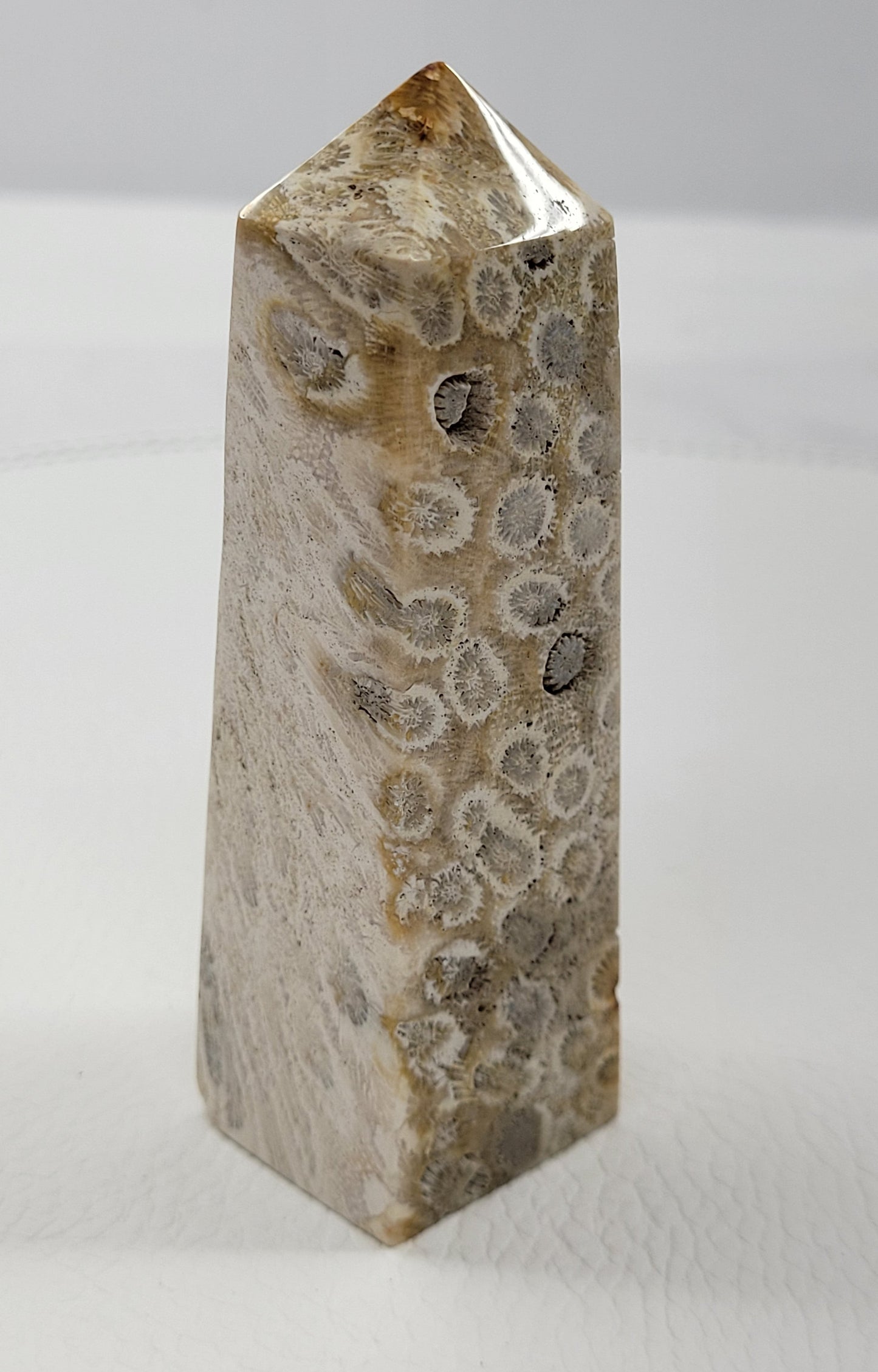 Fossil Coral Jasper tower
