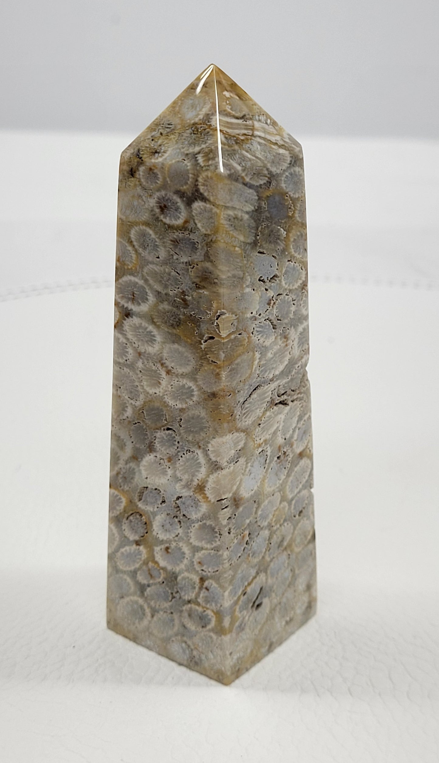 Fossil Coral Jasper tower