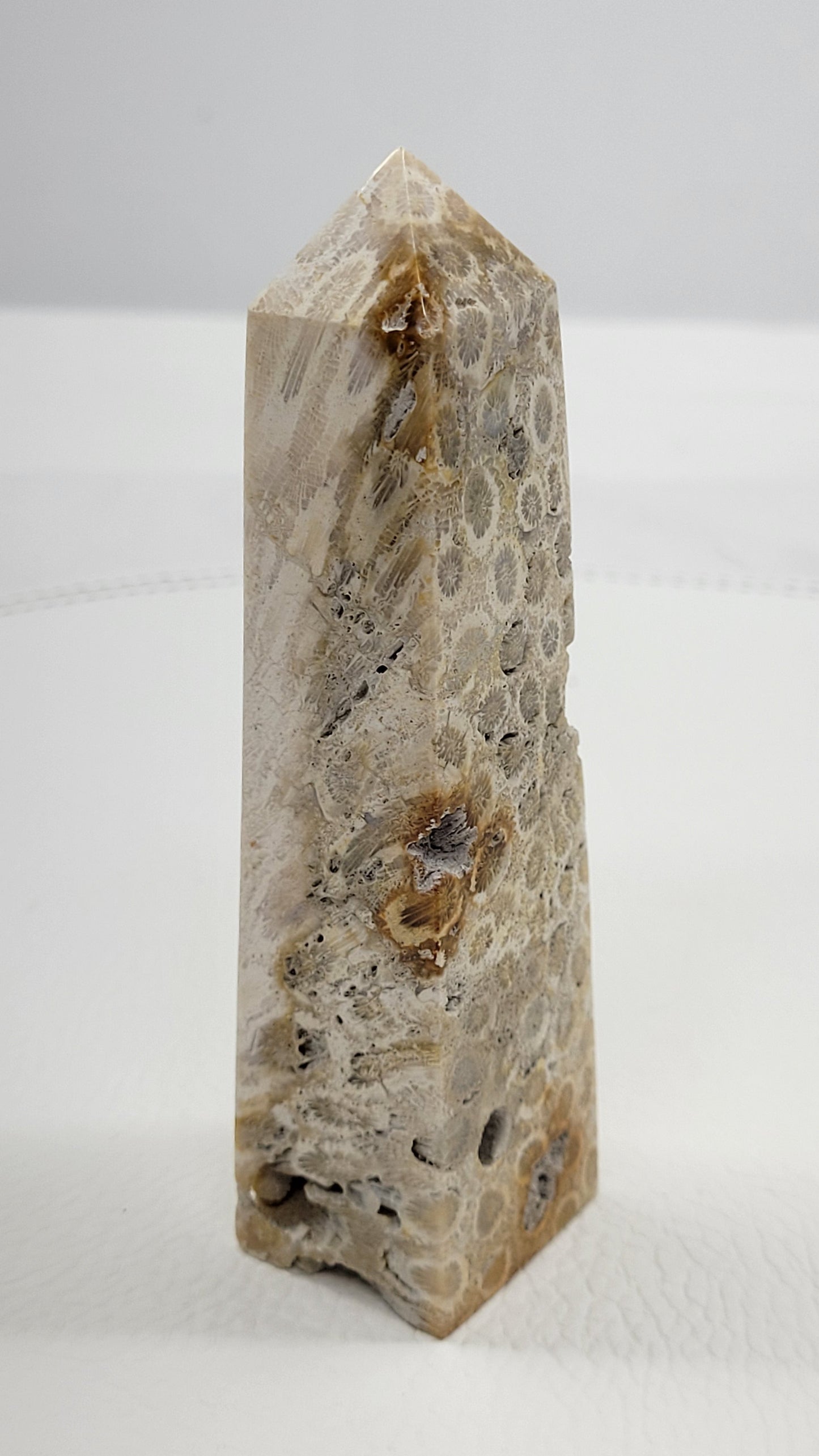 Fossil Coral Jasper tower