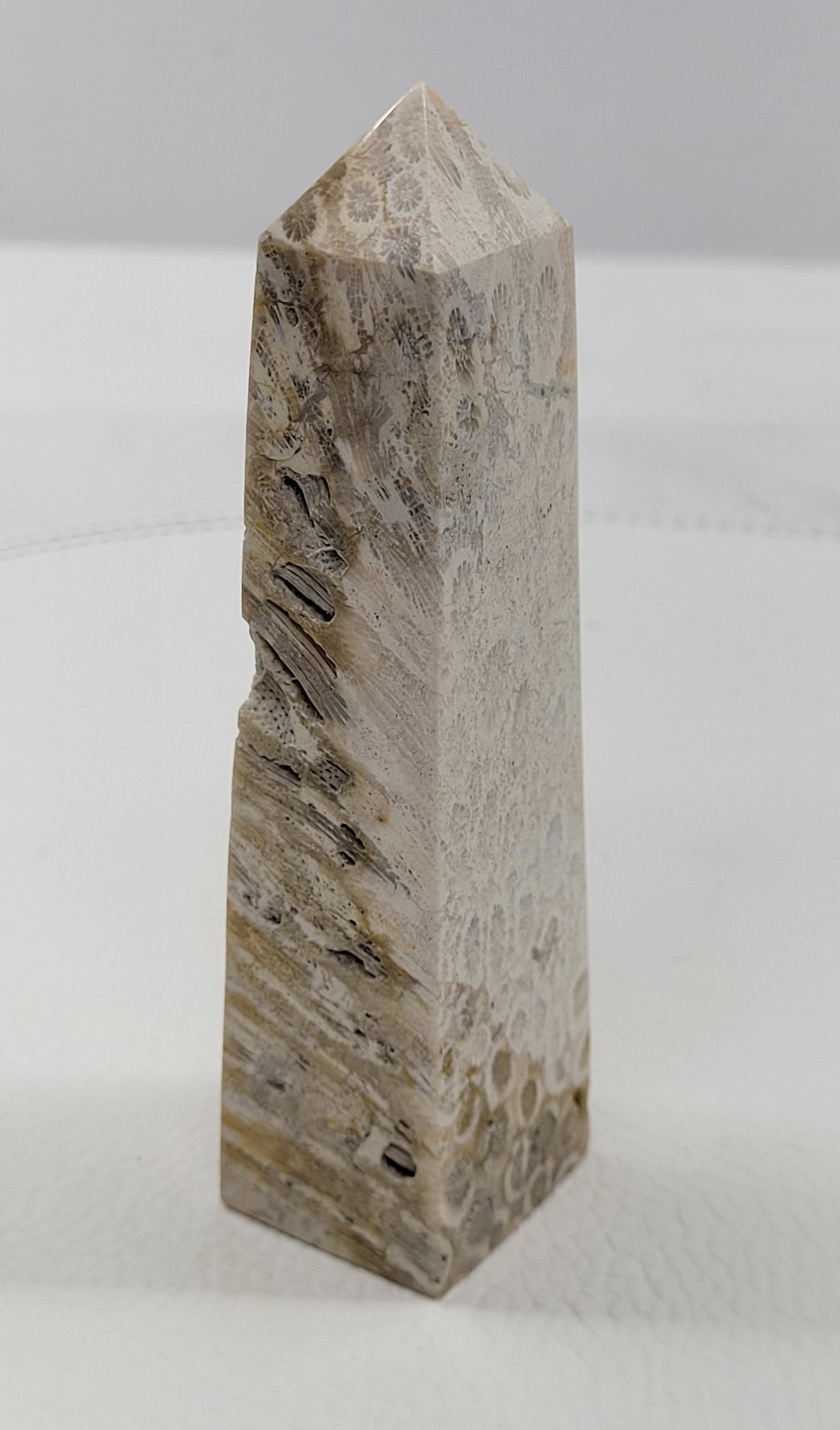 Fossil Coral Jasper tower