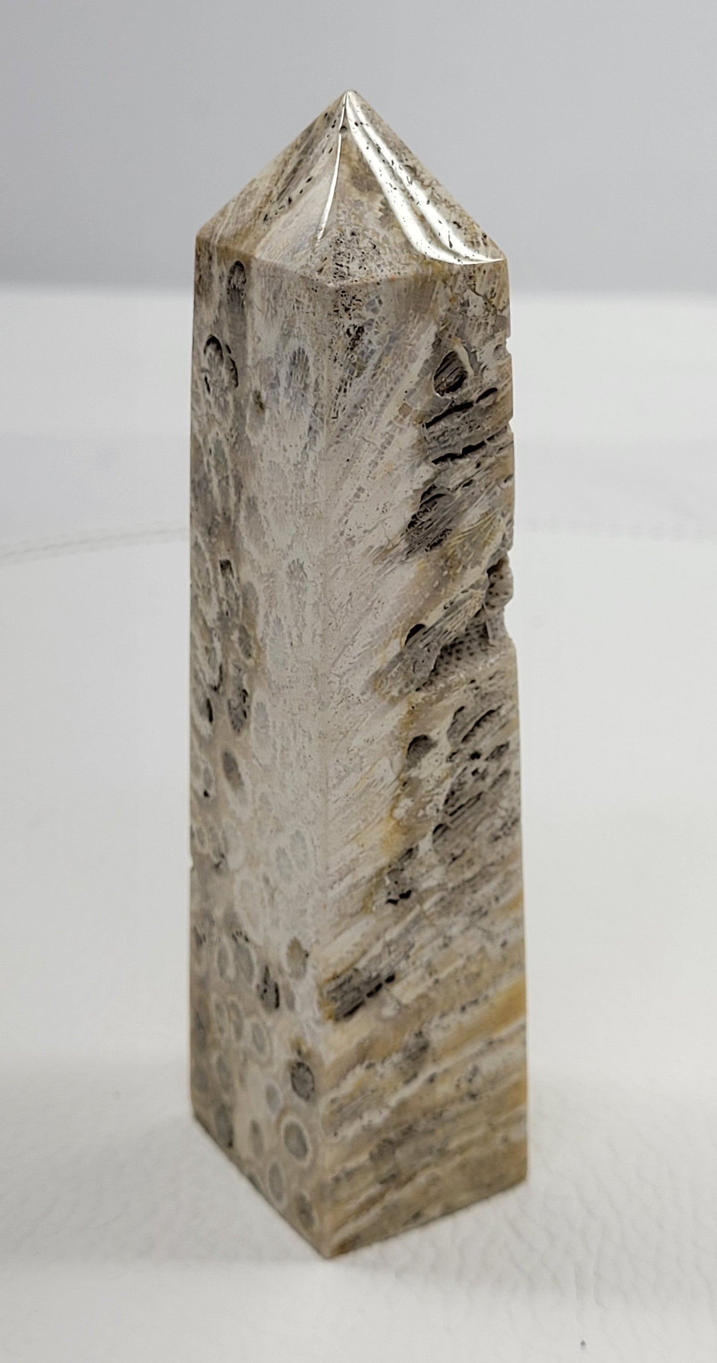 Fossil Coral Jasper tower
