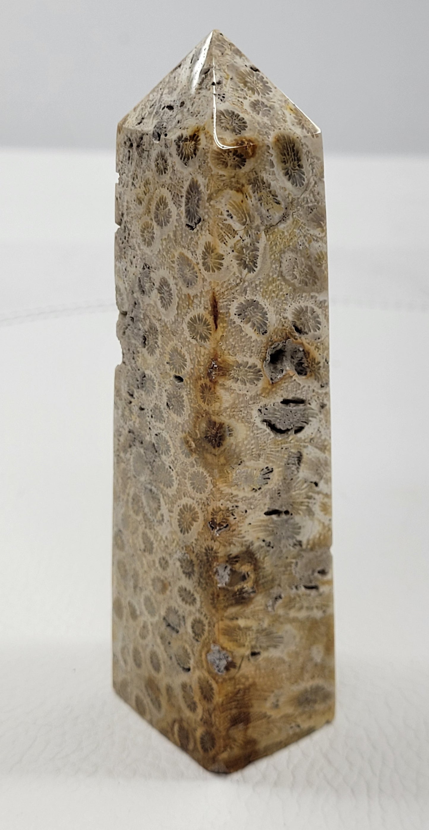 Fossil Coral Jasper tower