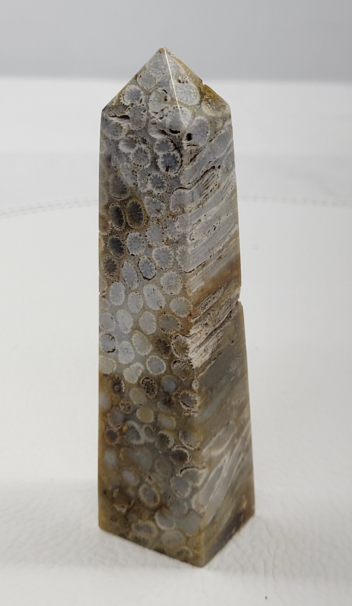 Fossil Coral Jasper tower