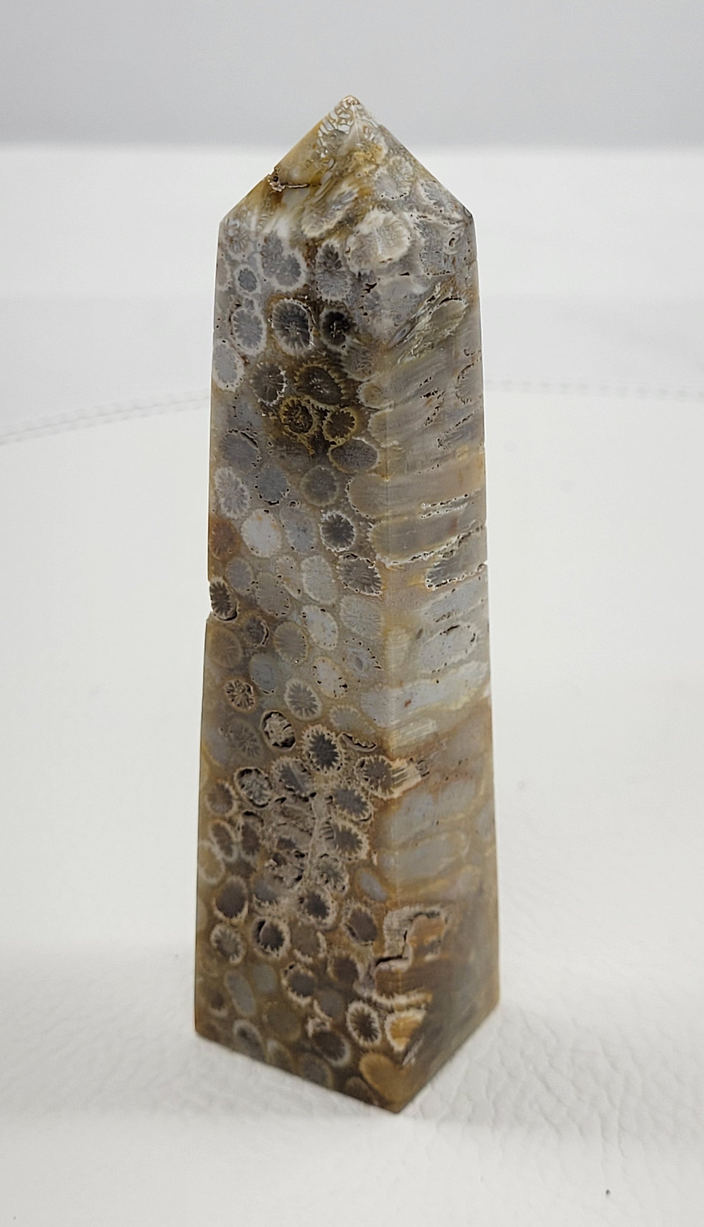 Fossil Coral Jasper tower