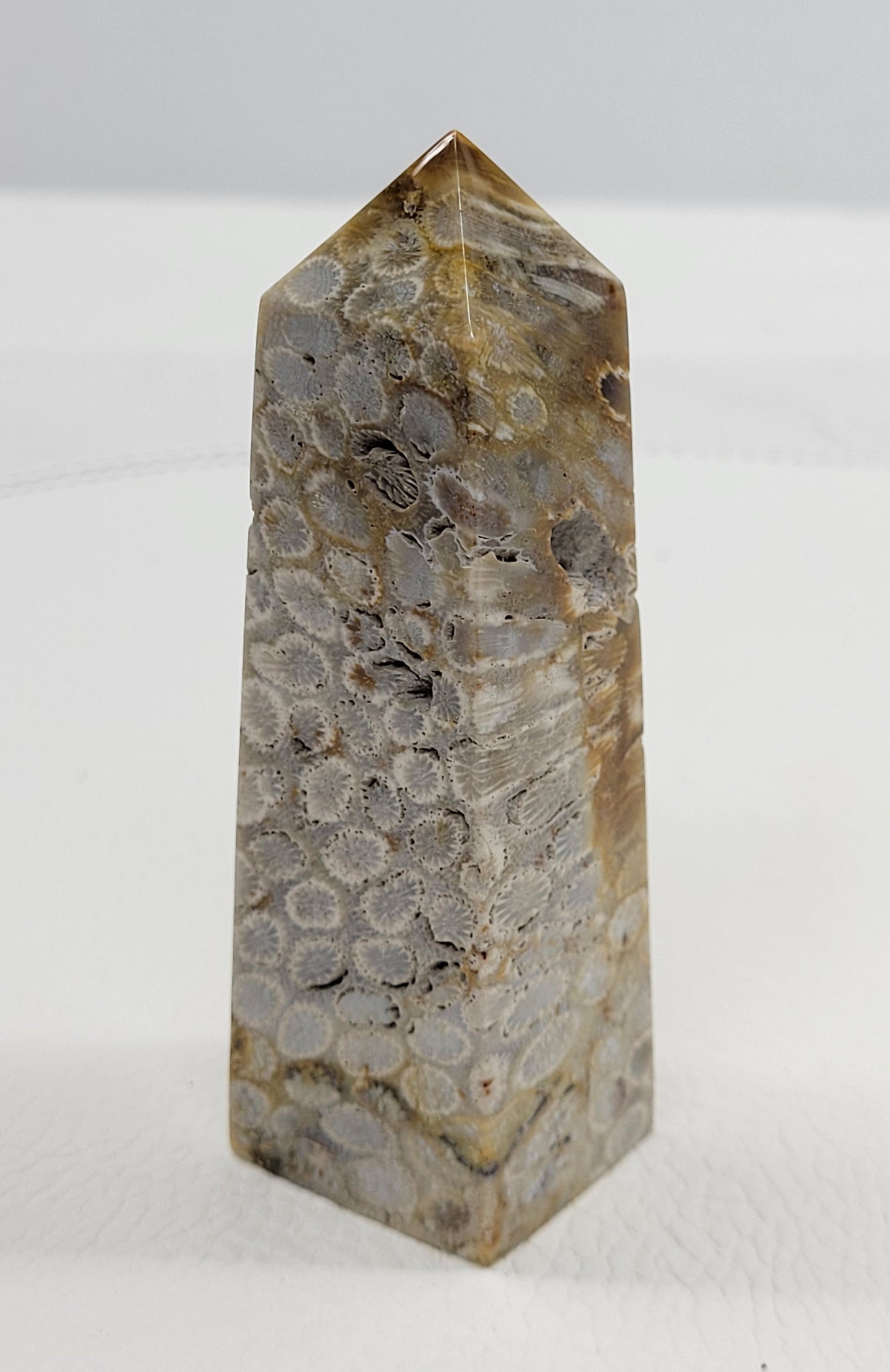 Fossil Coral Jasper tower