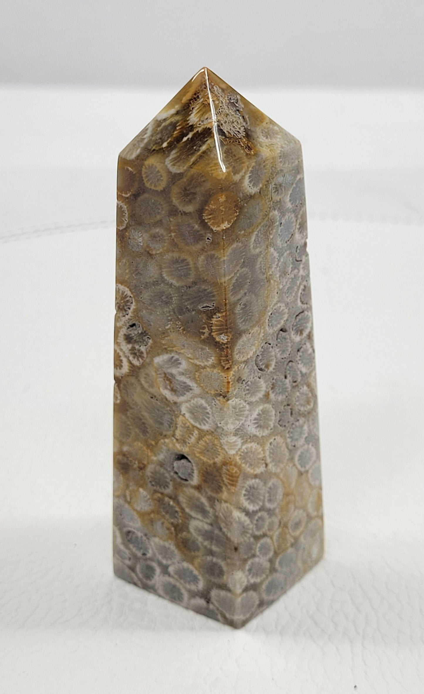 Fossil Coral Jasper tower