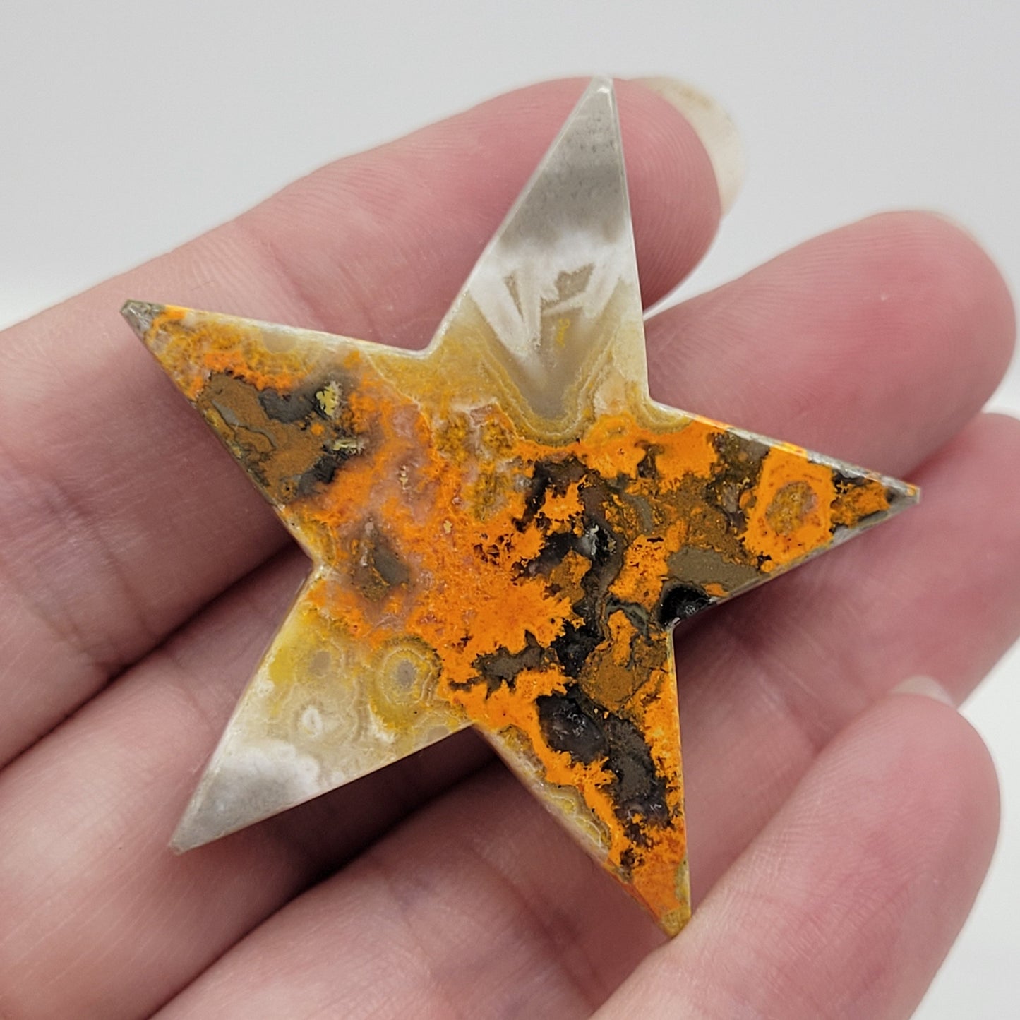 Bumblebee Jasper star