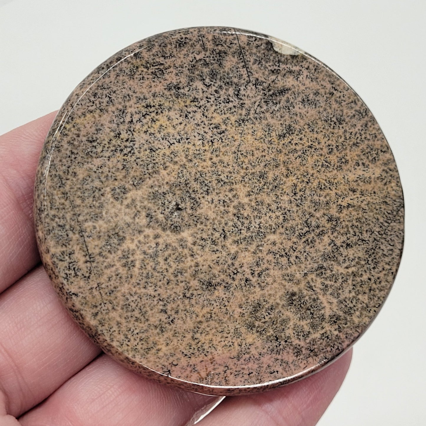 Picture Jasper coin