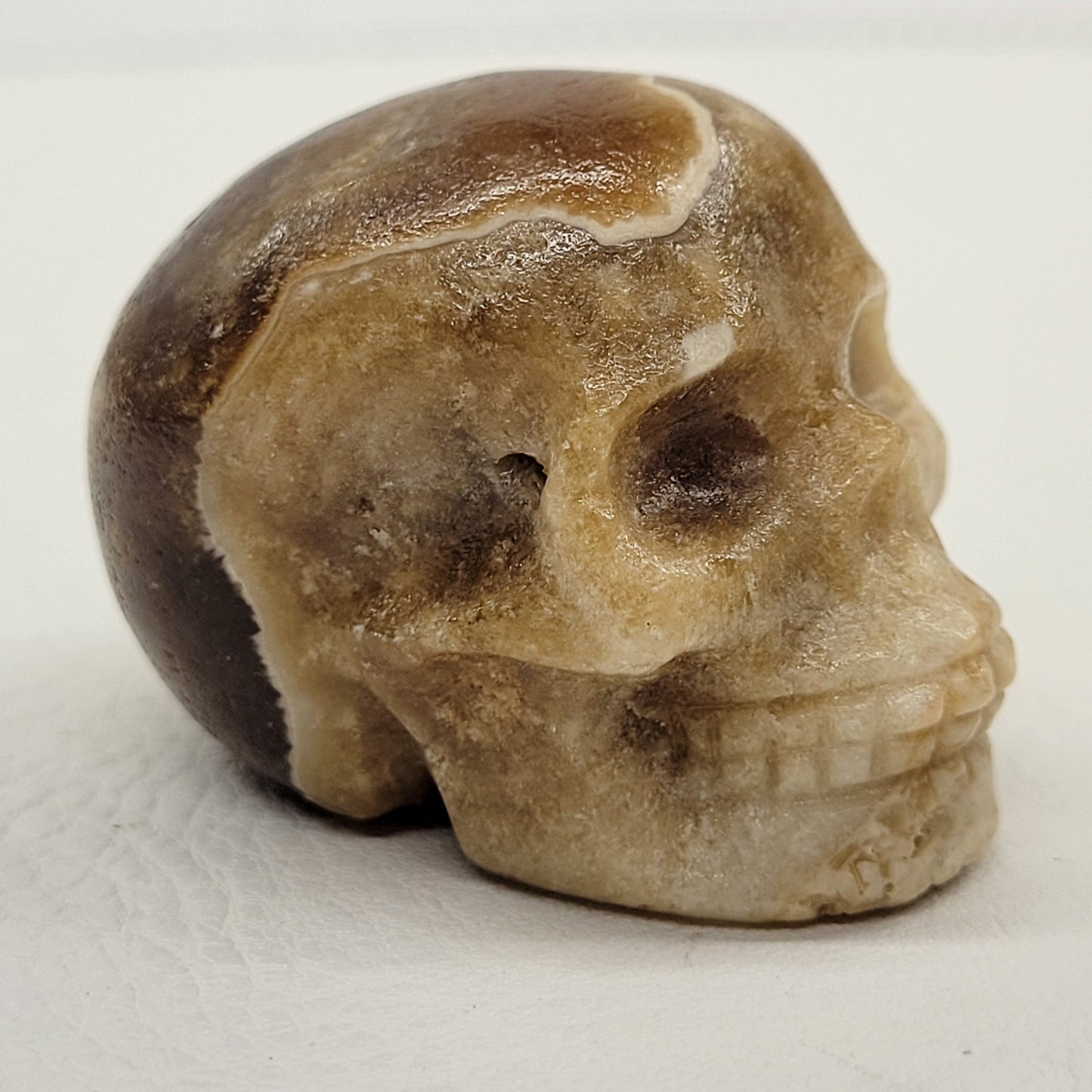 Skull small - Variety of material