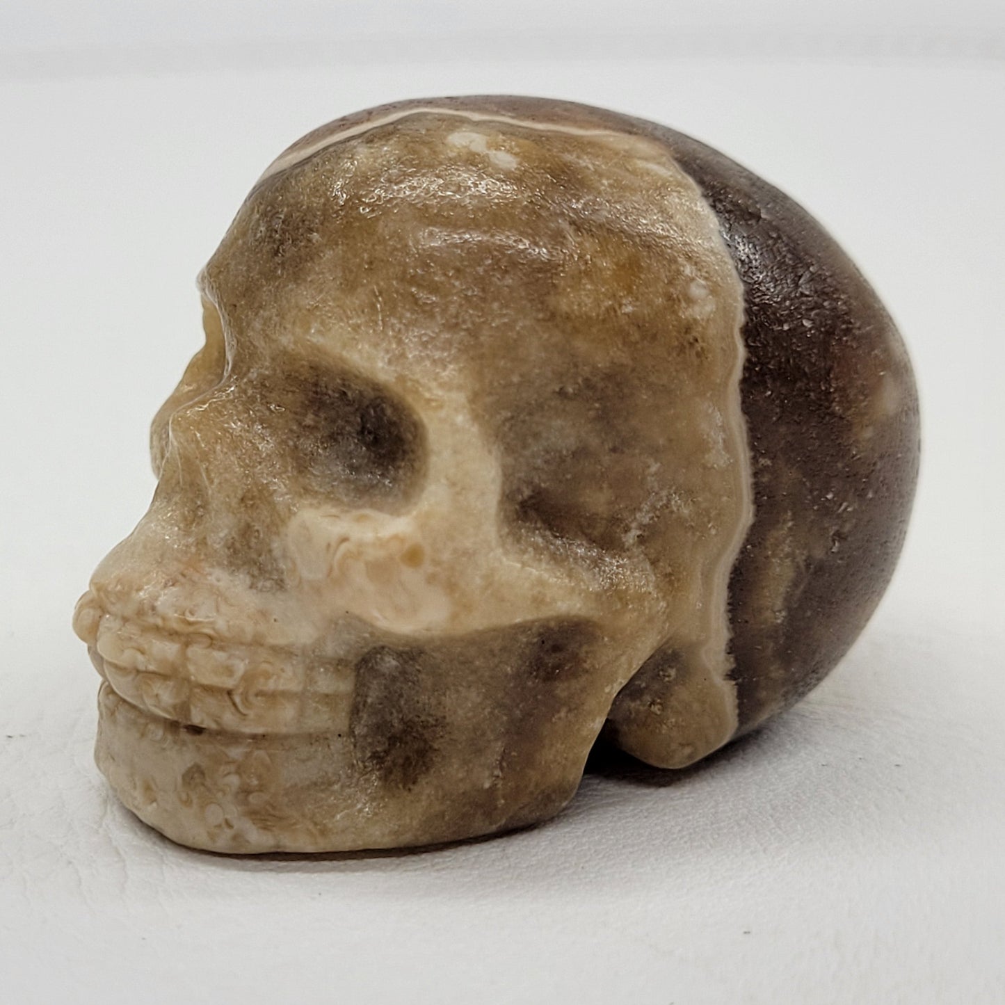 Skull small - Variety of material