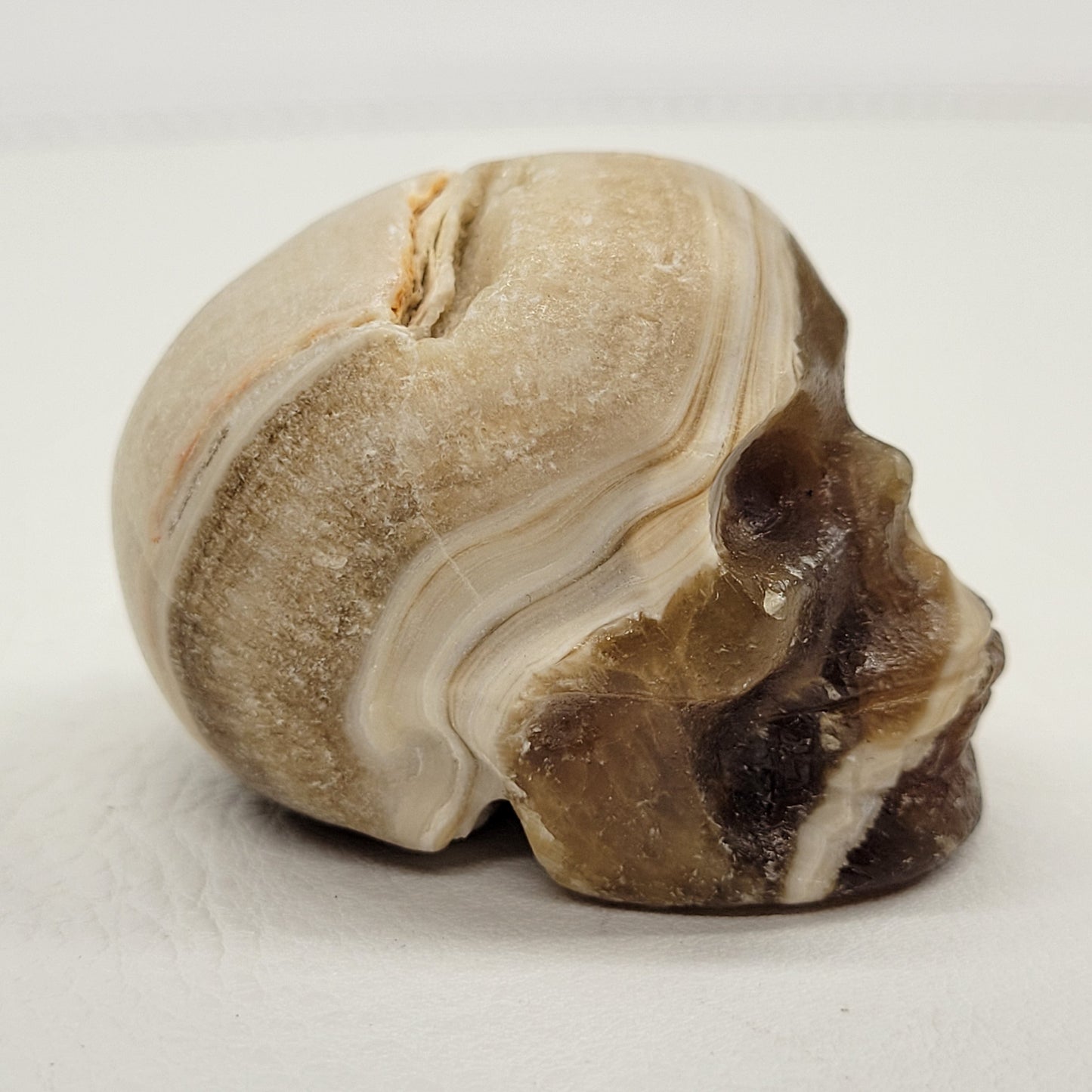 Skull small - Variety of material