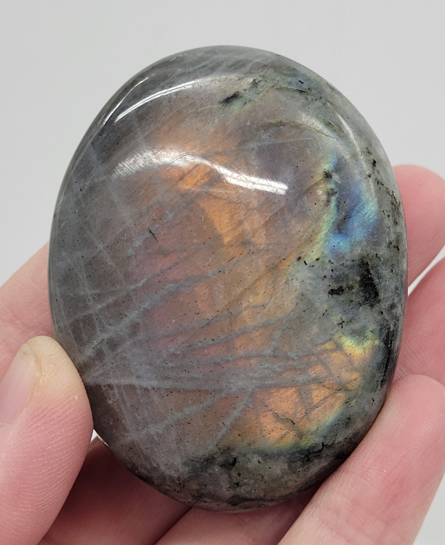 Palm - Labradorite