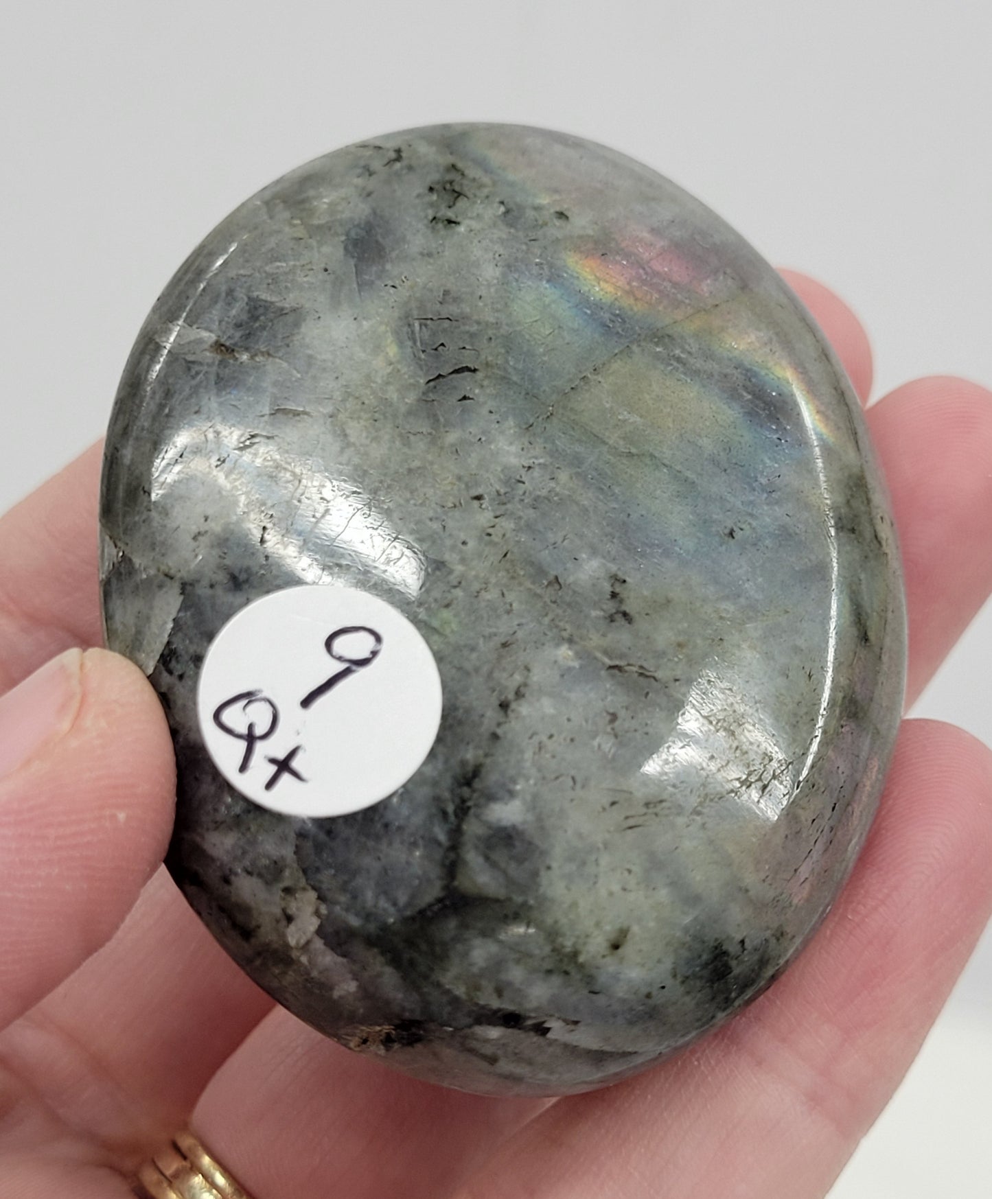 Palm - Labradorite