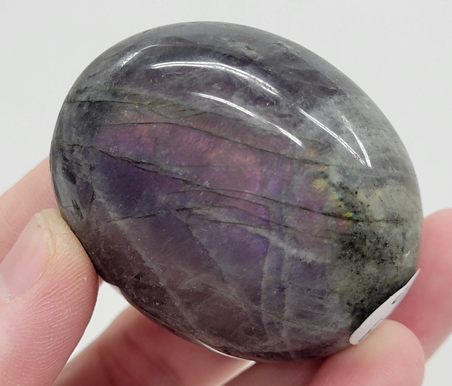 Palm - Labradorite