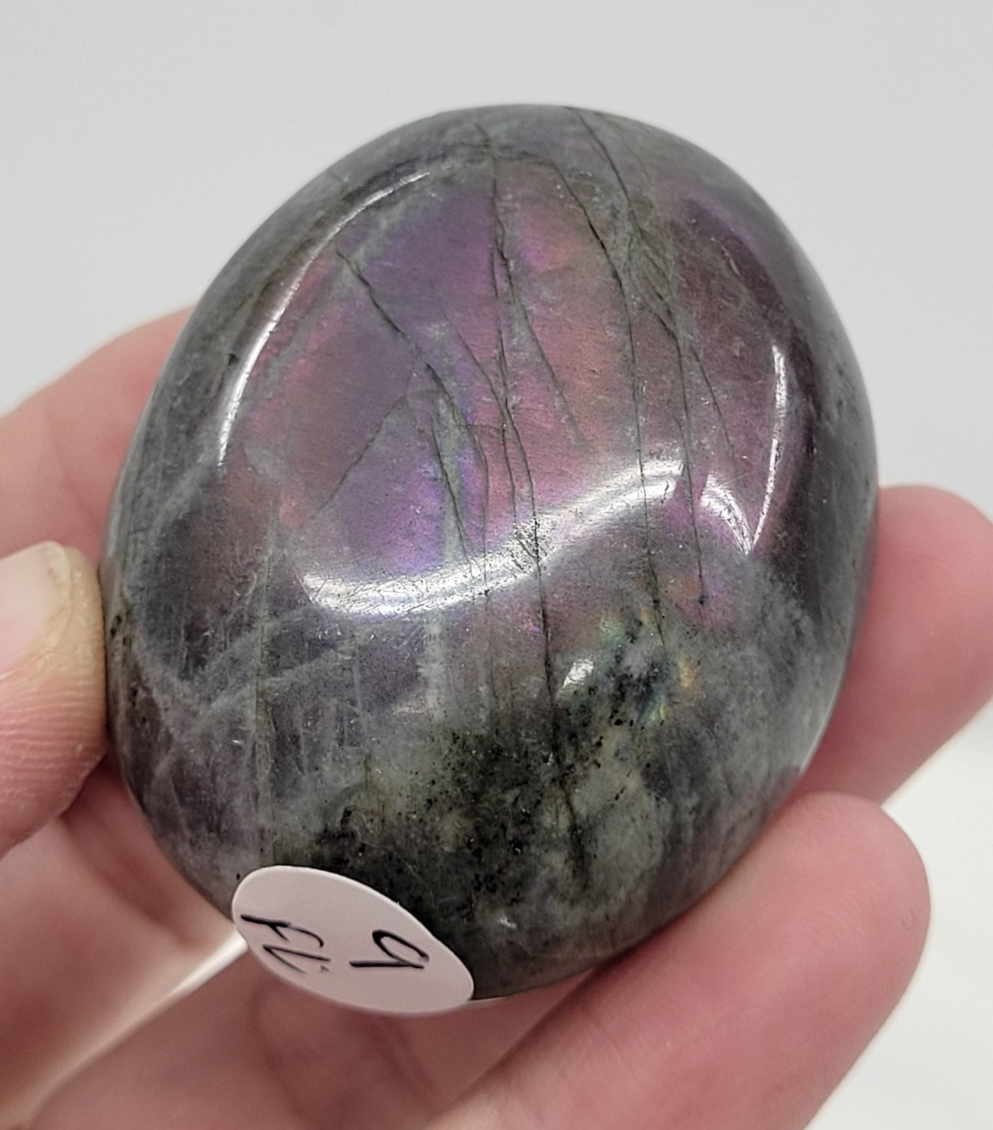 Palm - Labradorite