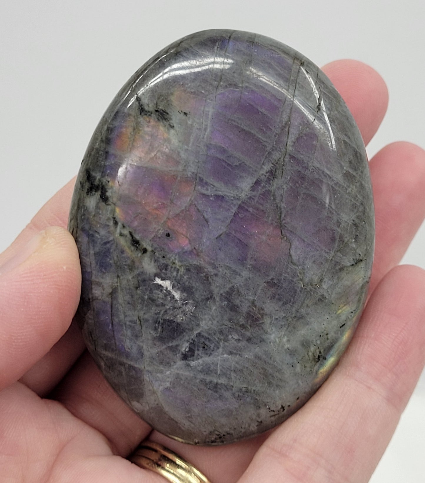 Palm - Labradorite