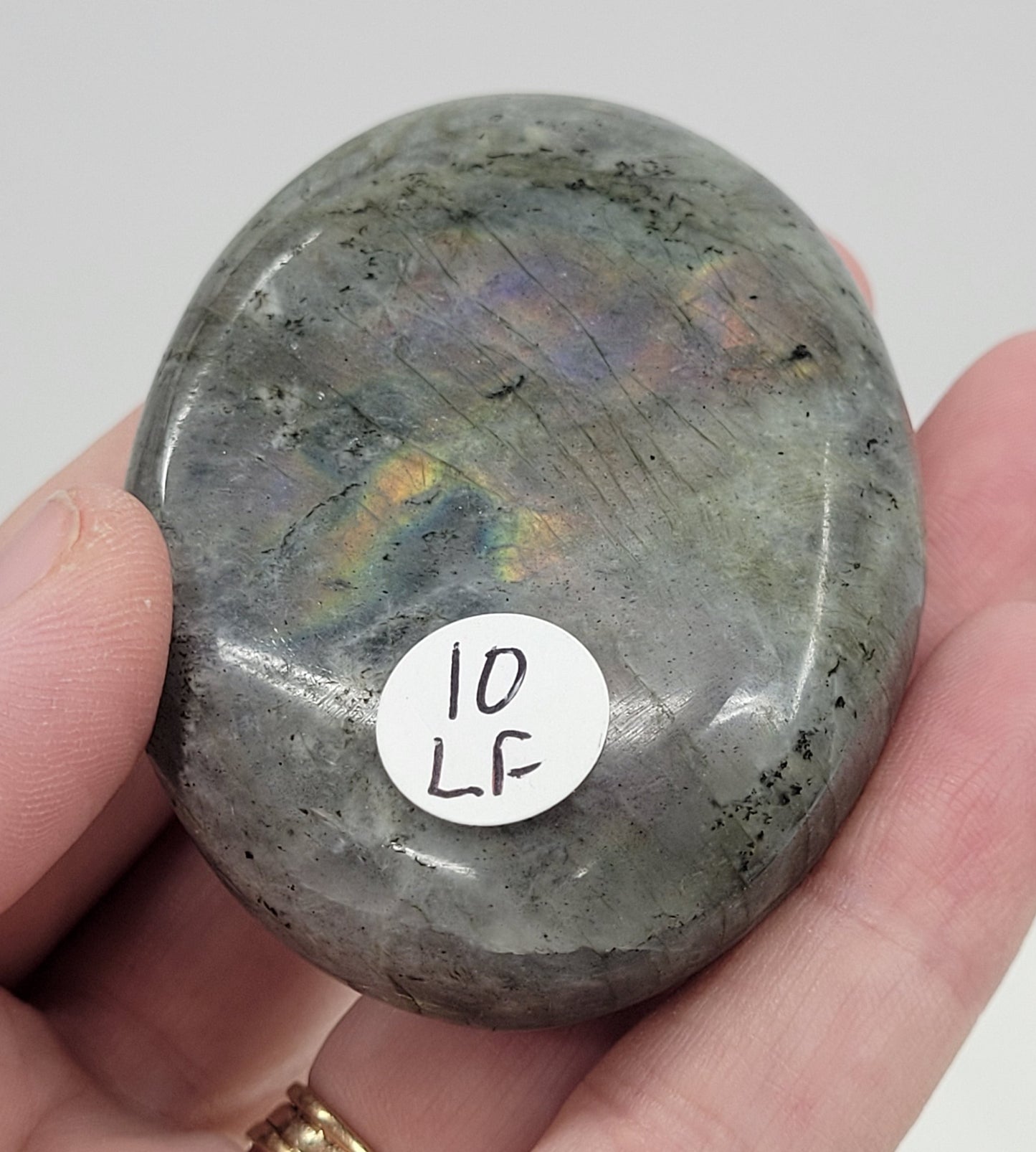 Palm - Labradorite